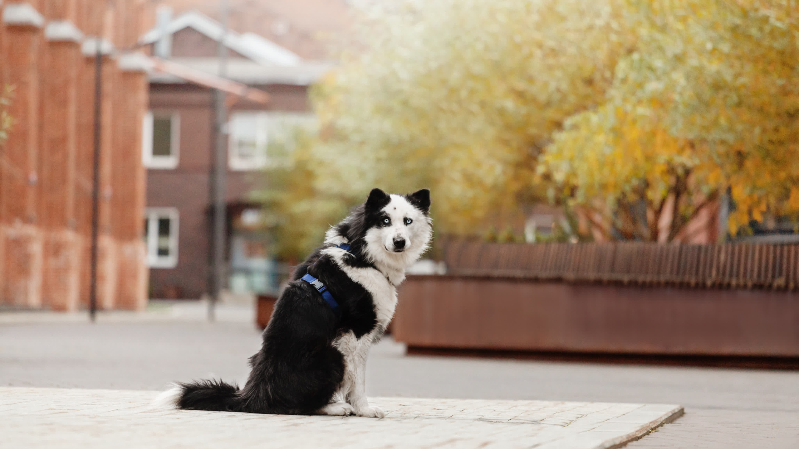 Чех 2022. Фотограф-анималист Татьяна Степанова