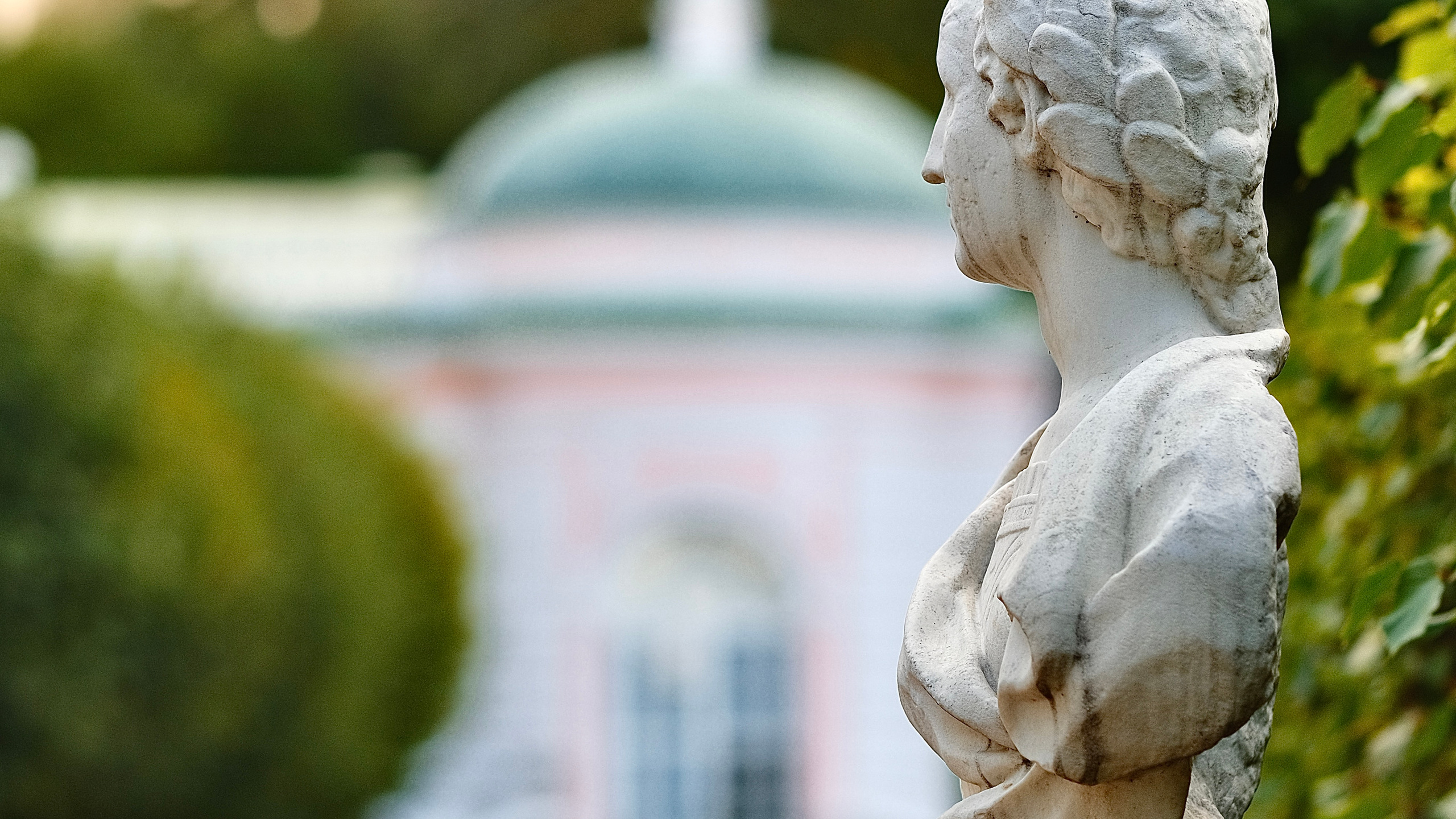 Кусково в цвете