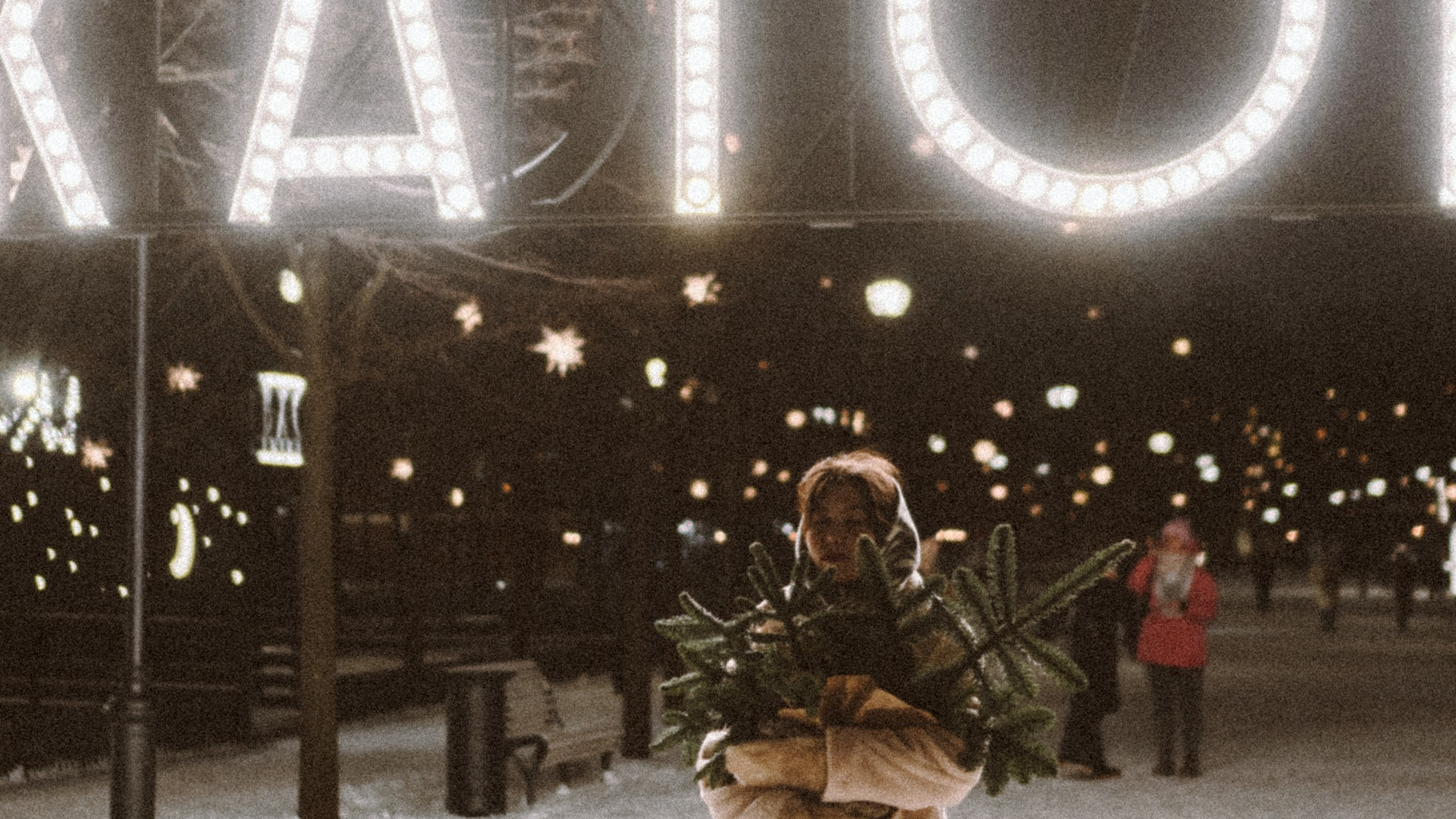 Зимняя сказка в Новой Голандии