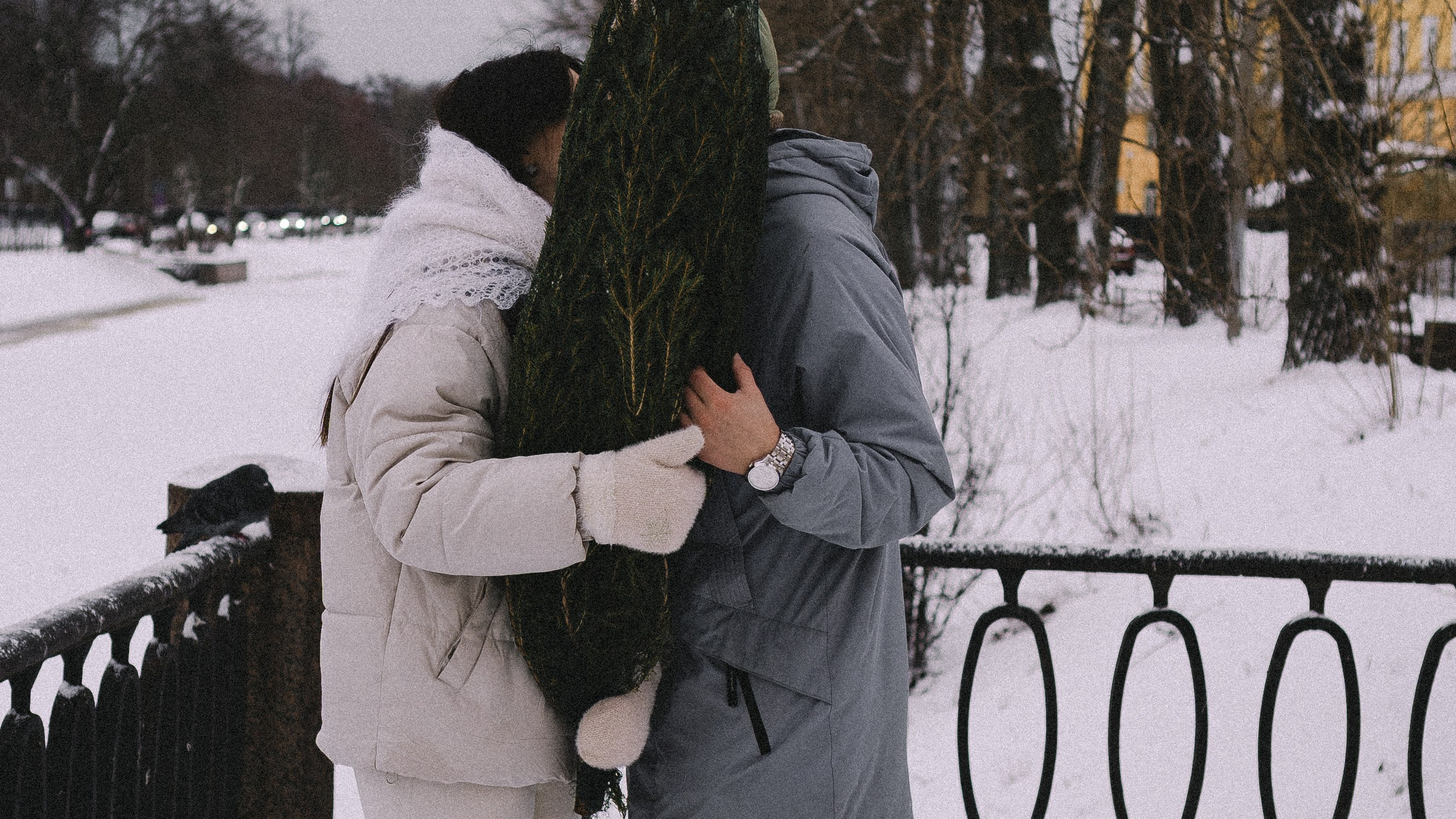 зимняя история