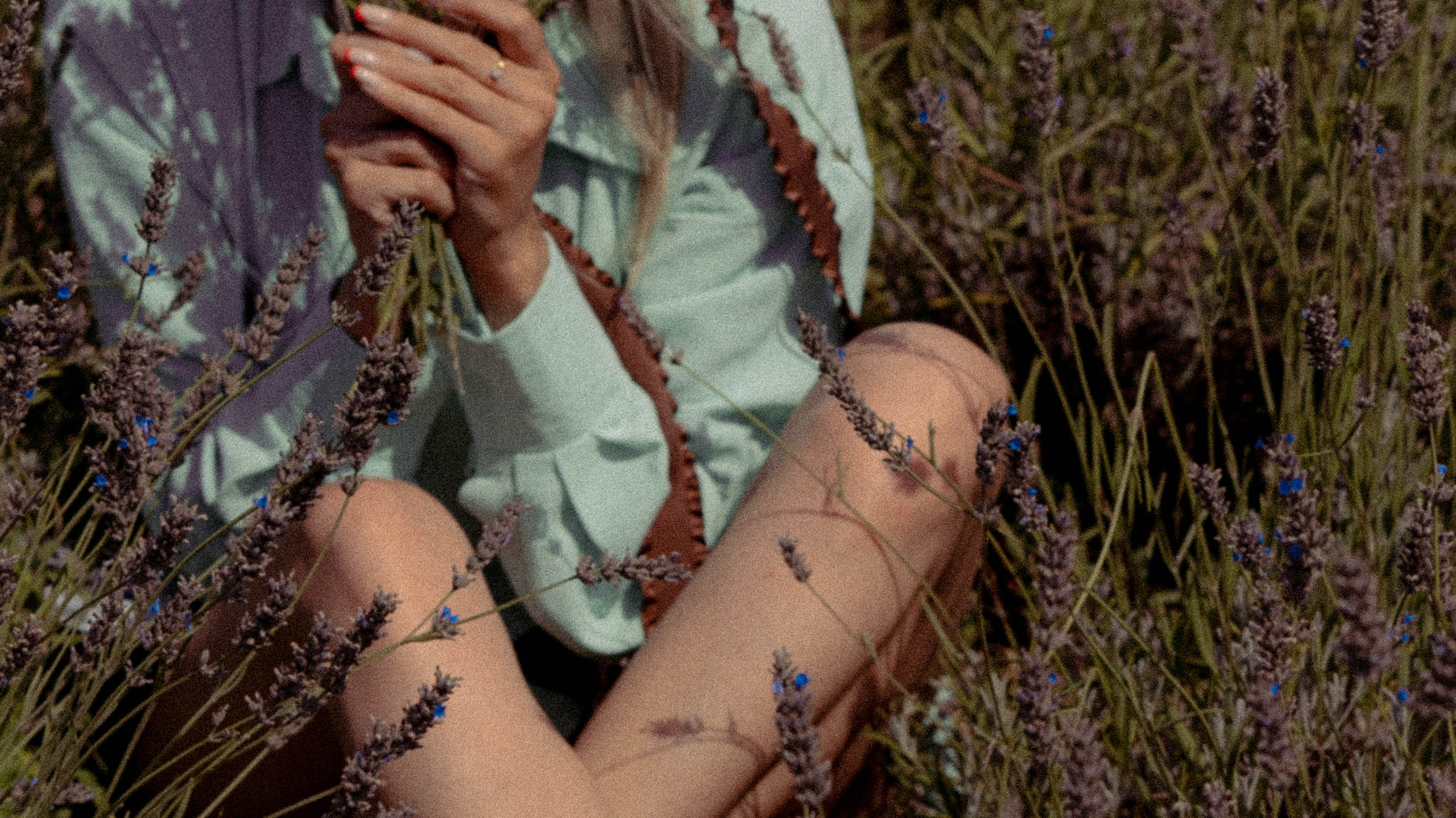 ЛАВАНВОДОВОЕ ПОЛЕ