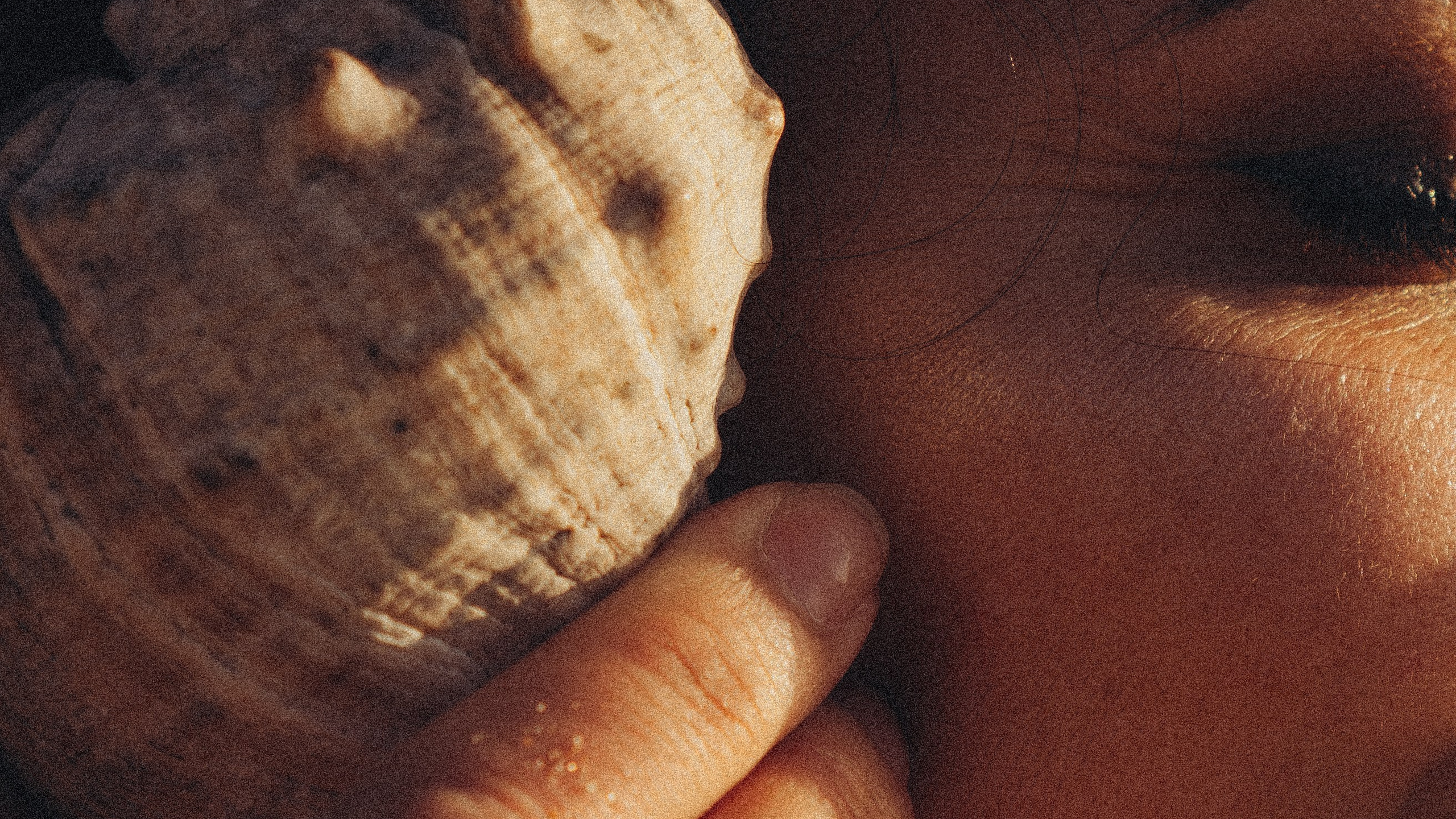 У ФИНСКОГО ЗАЛИВА