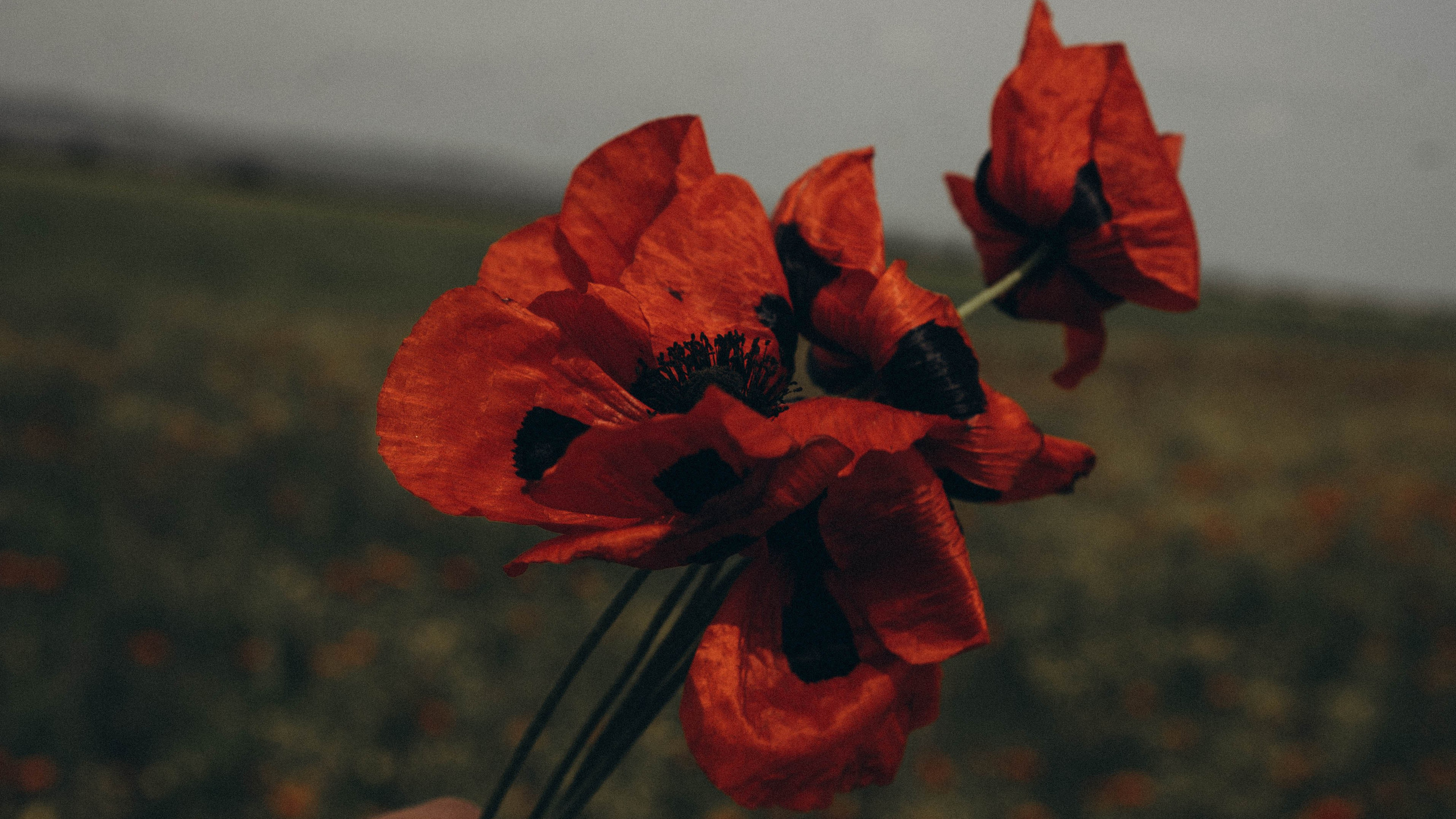 Путешествие в Дагестане