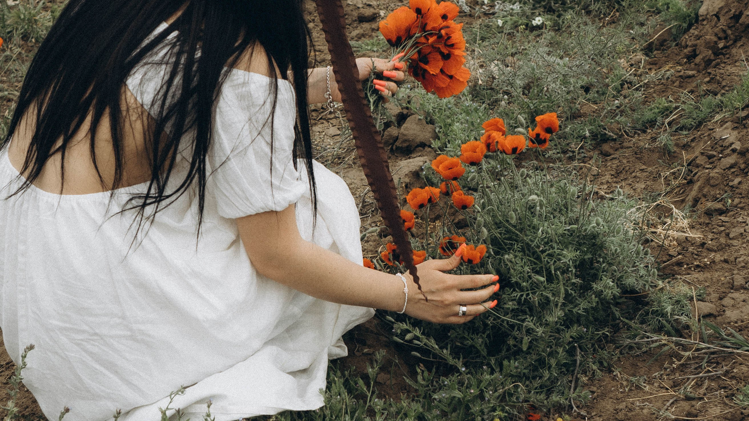 маковое поле