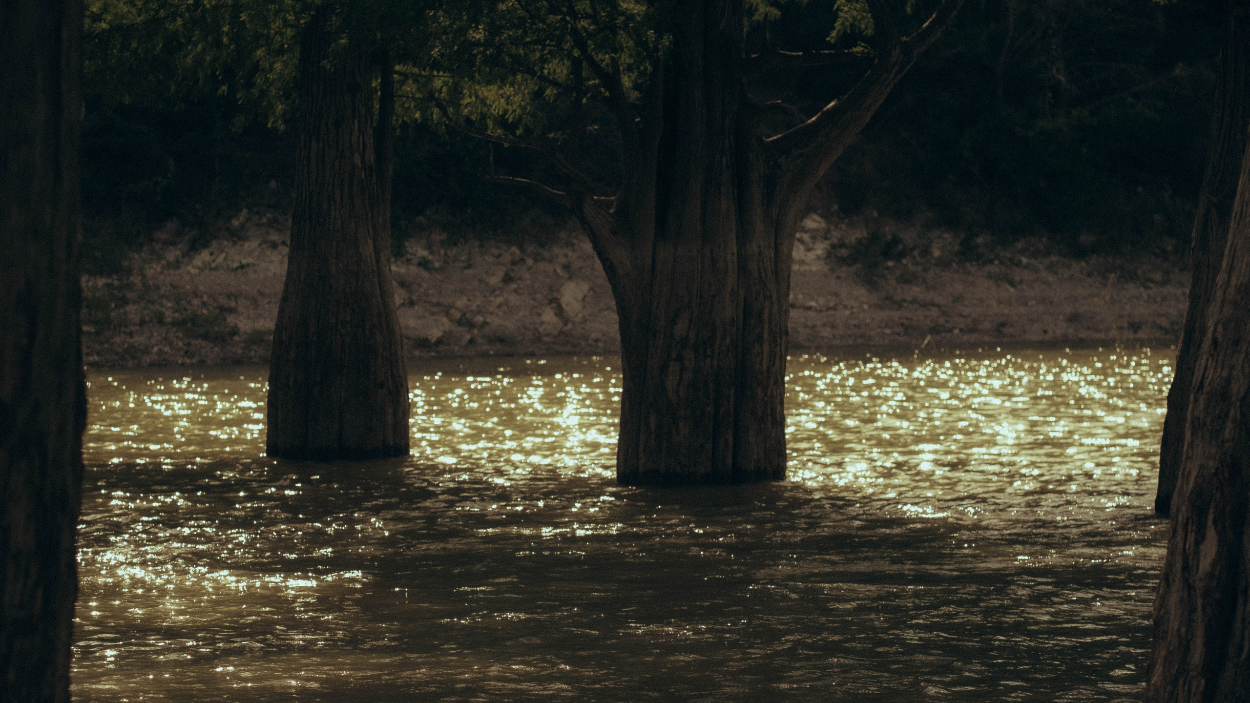 Кипарисовое озеро в Анапе