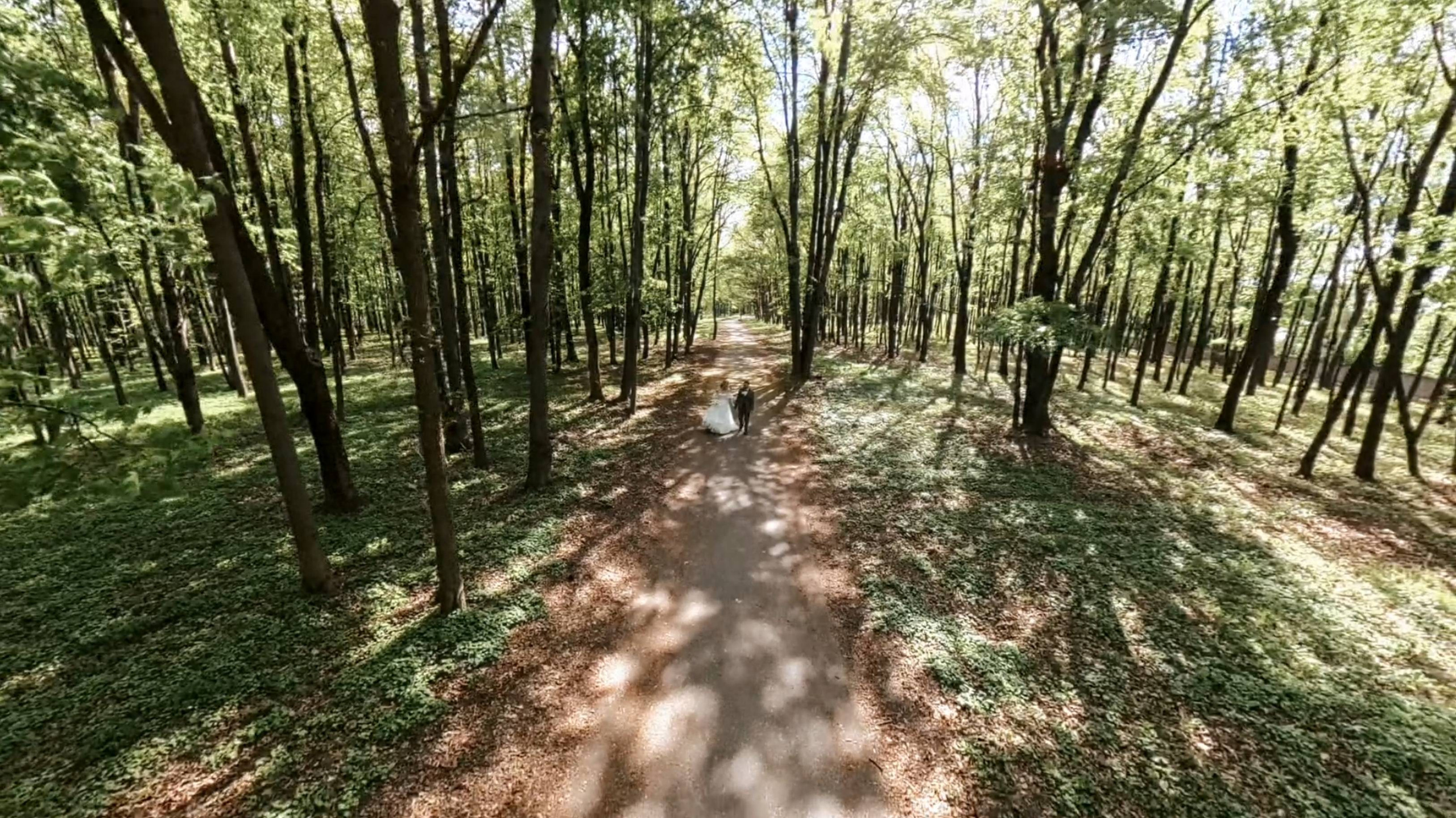 Портфолио. Paradise-company видеограф в Курске Самохвалов Сергей