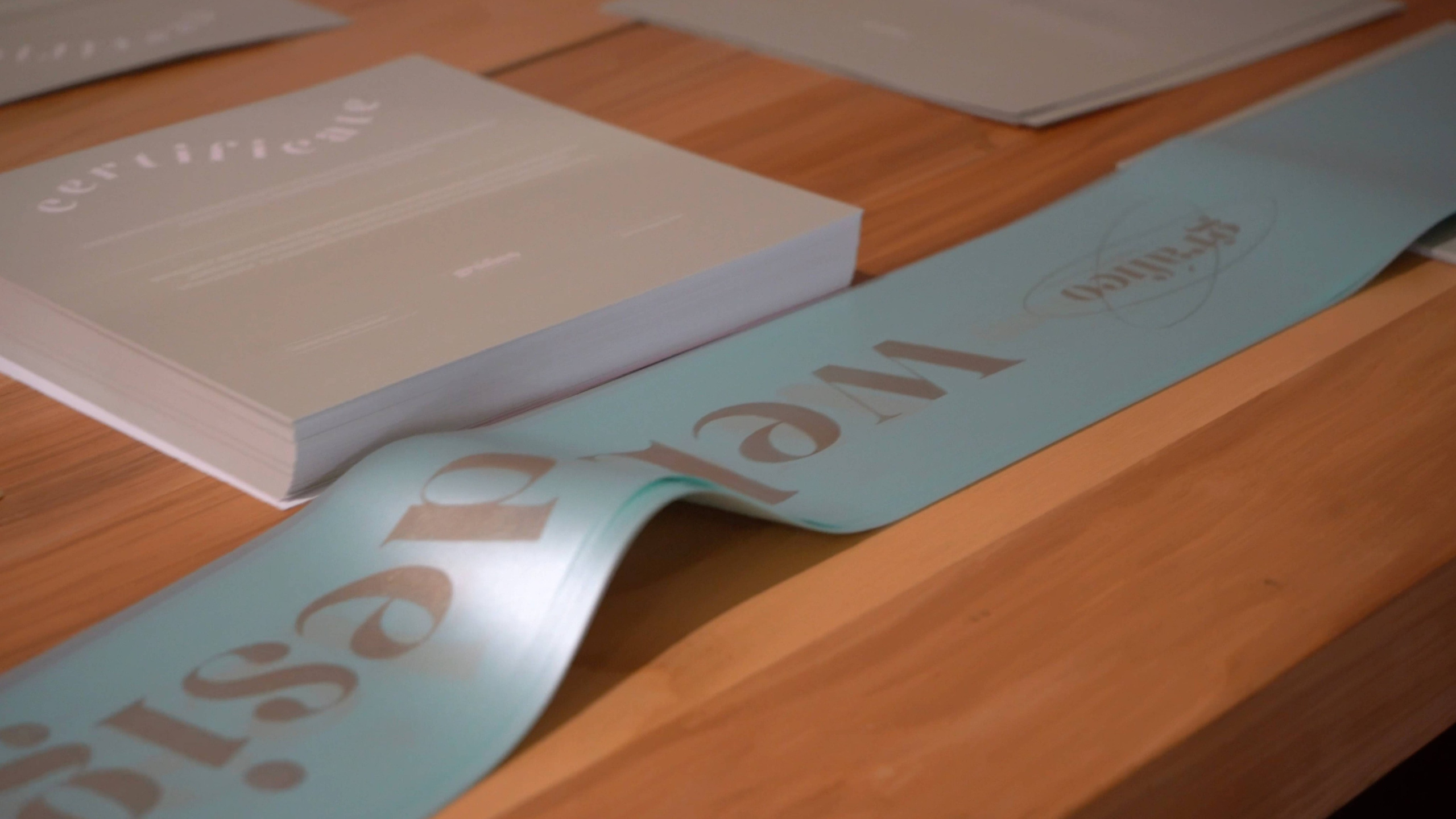 МЕРОПРИЯТИЯ. Видеограф | Москва | Кирилл