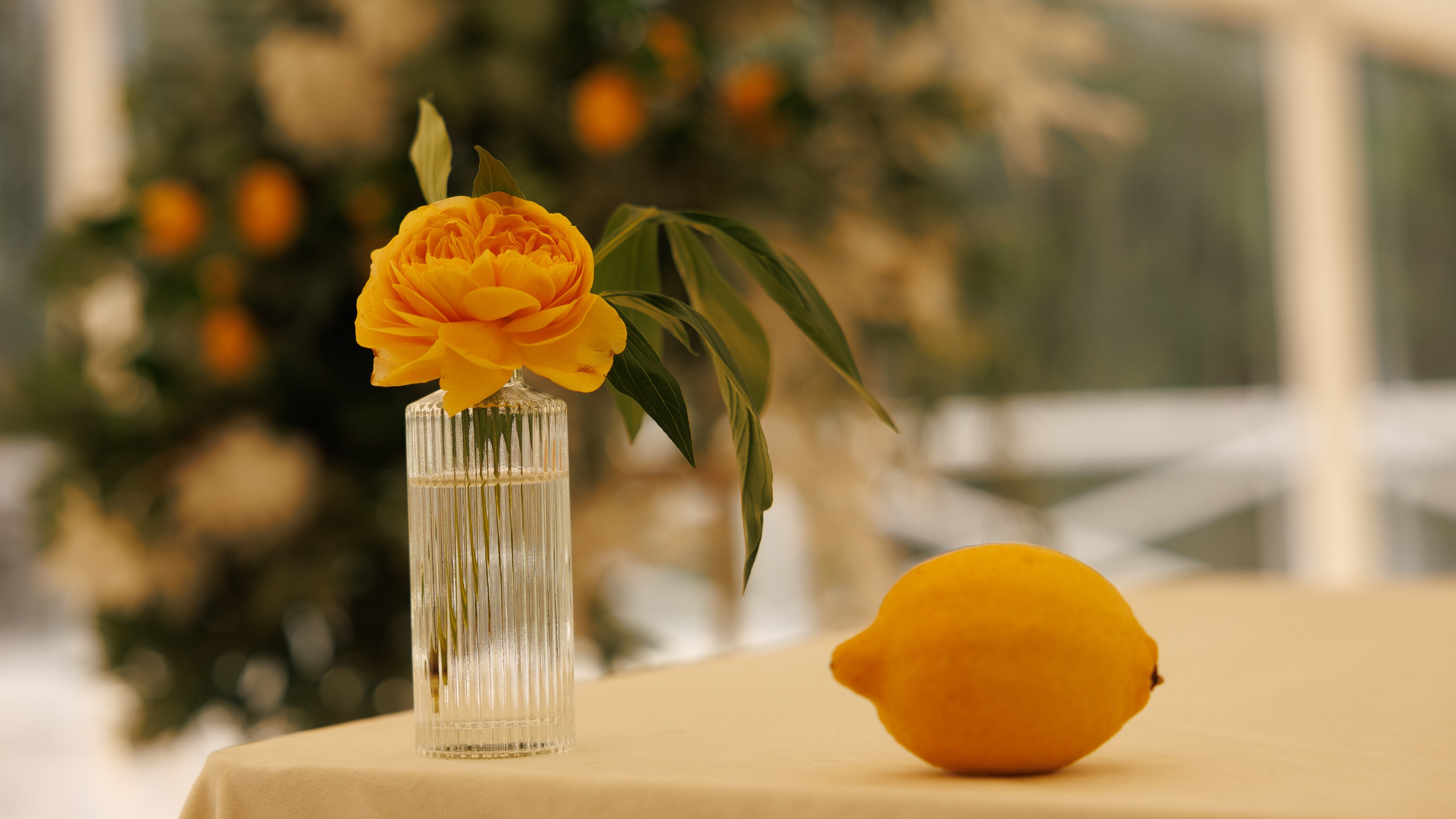 Июньская свадьба на берегу реки