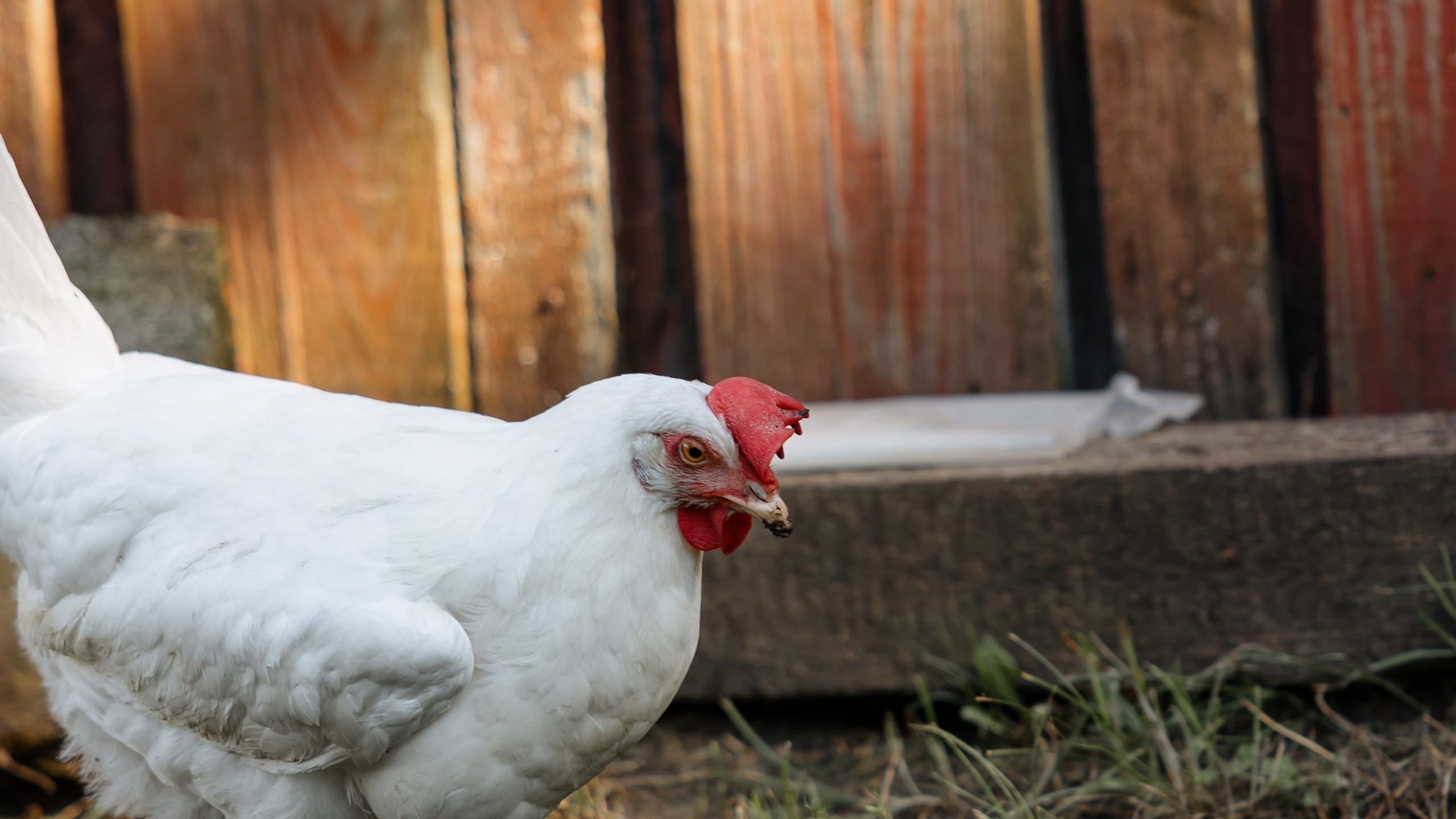 Свадьба в деревенском стиле