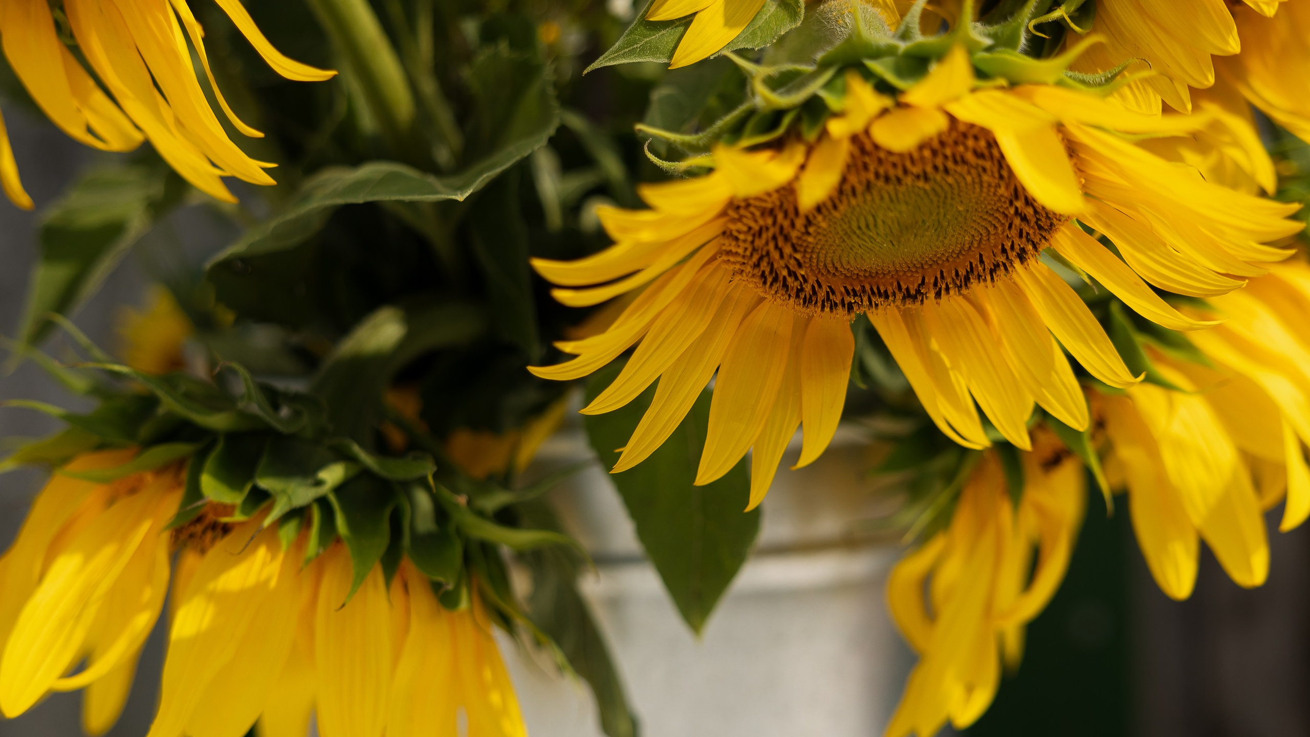 Свадьба в деревенском стиле