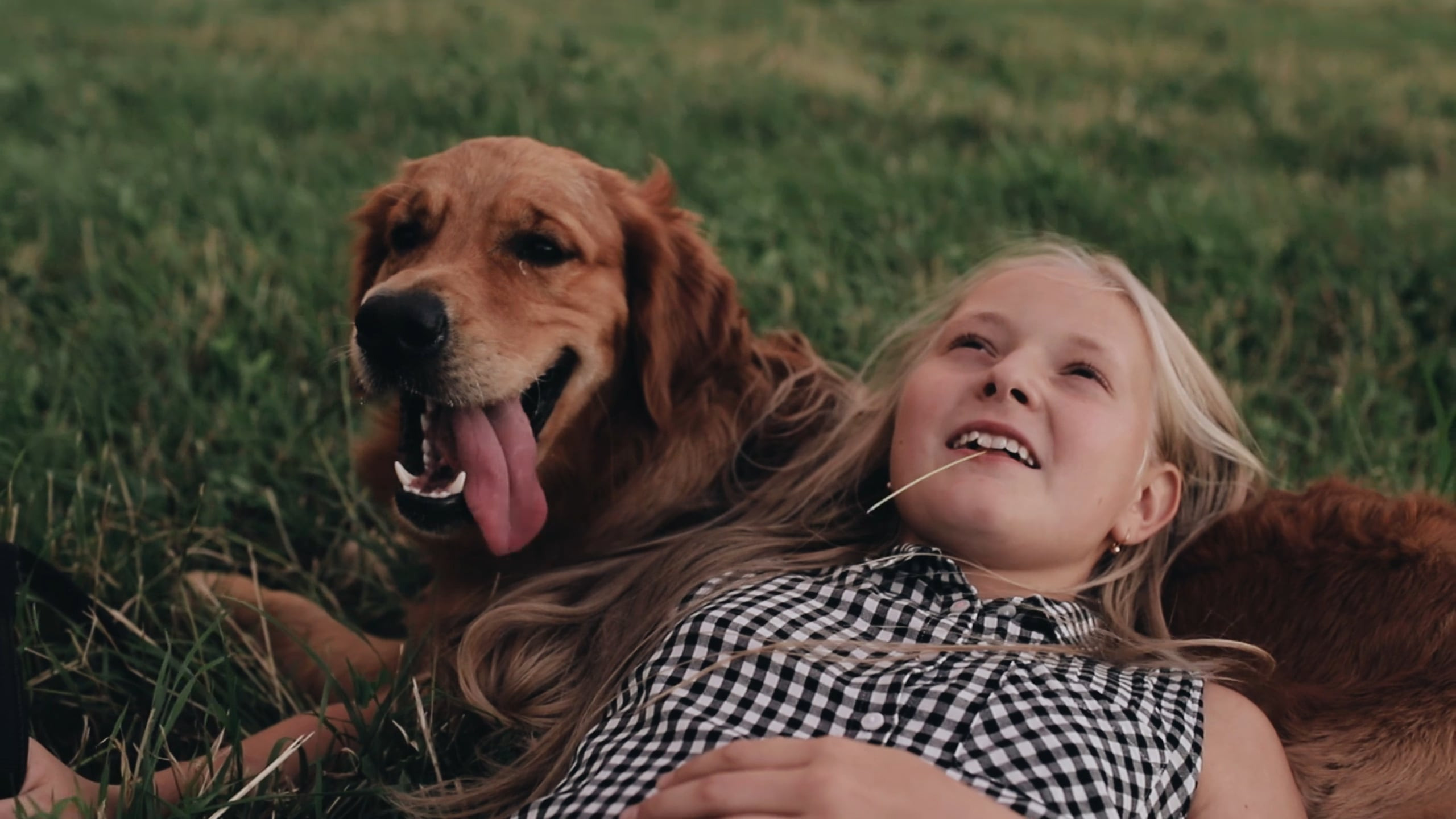 Видеограф в Санкт-Петербурге Юлия Ермакова