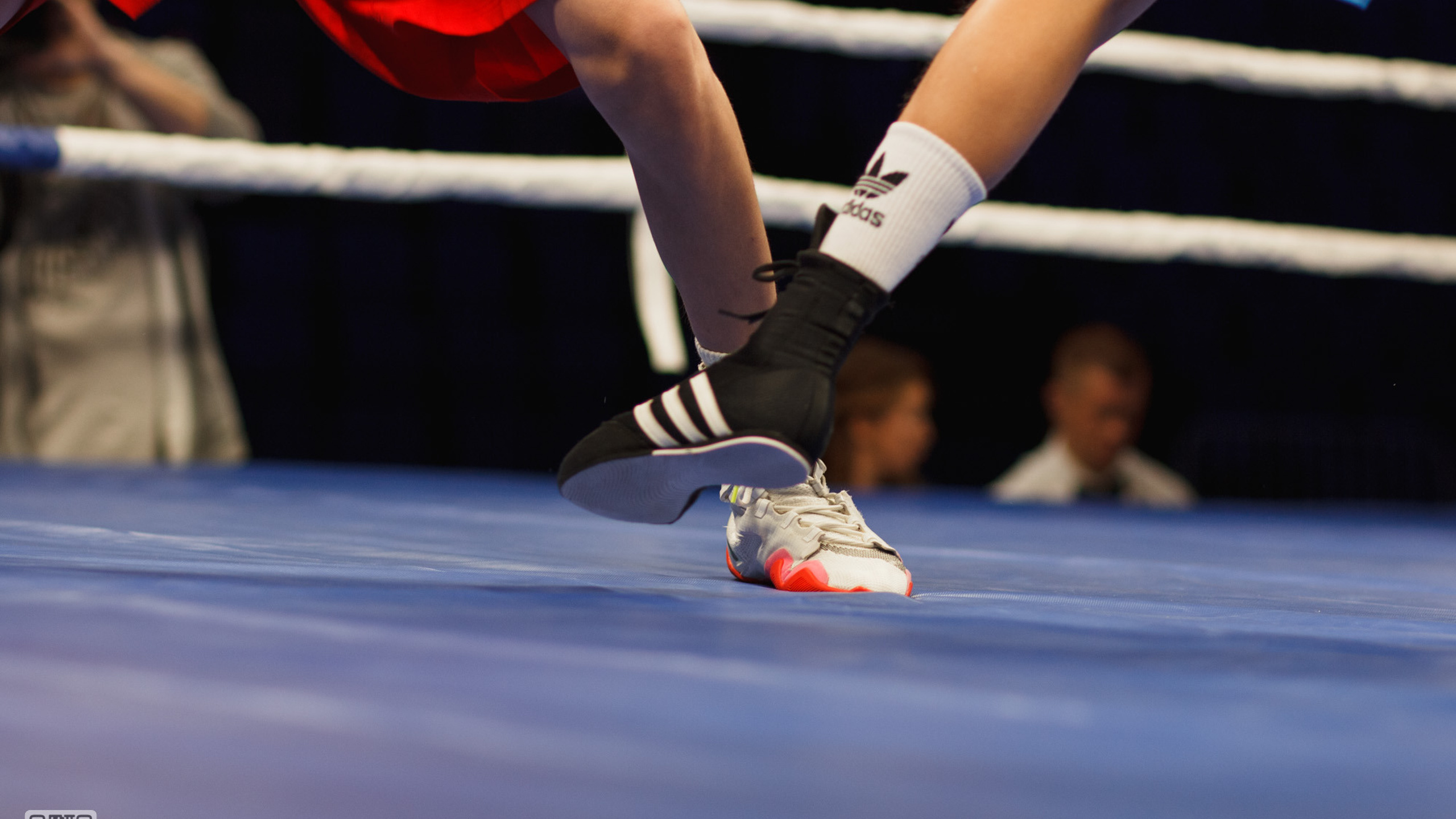 Бейся до победы