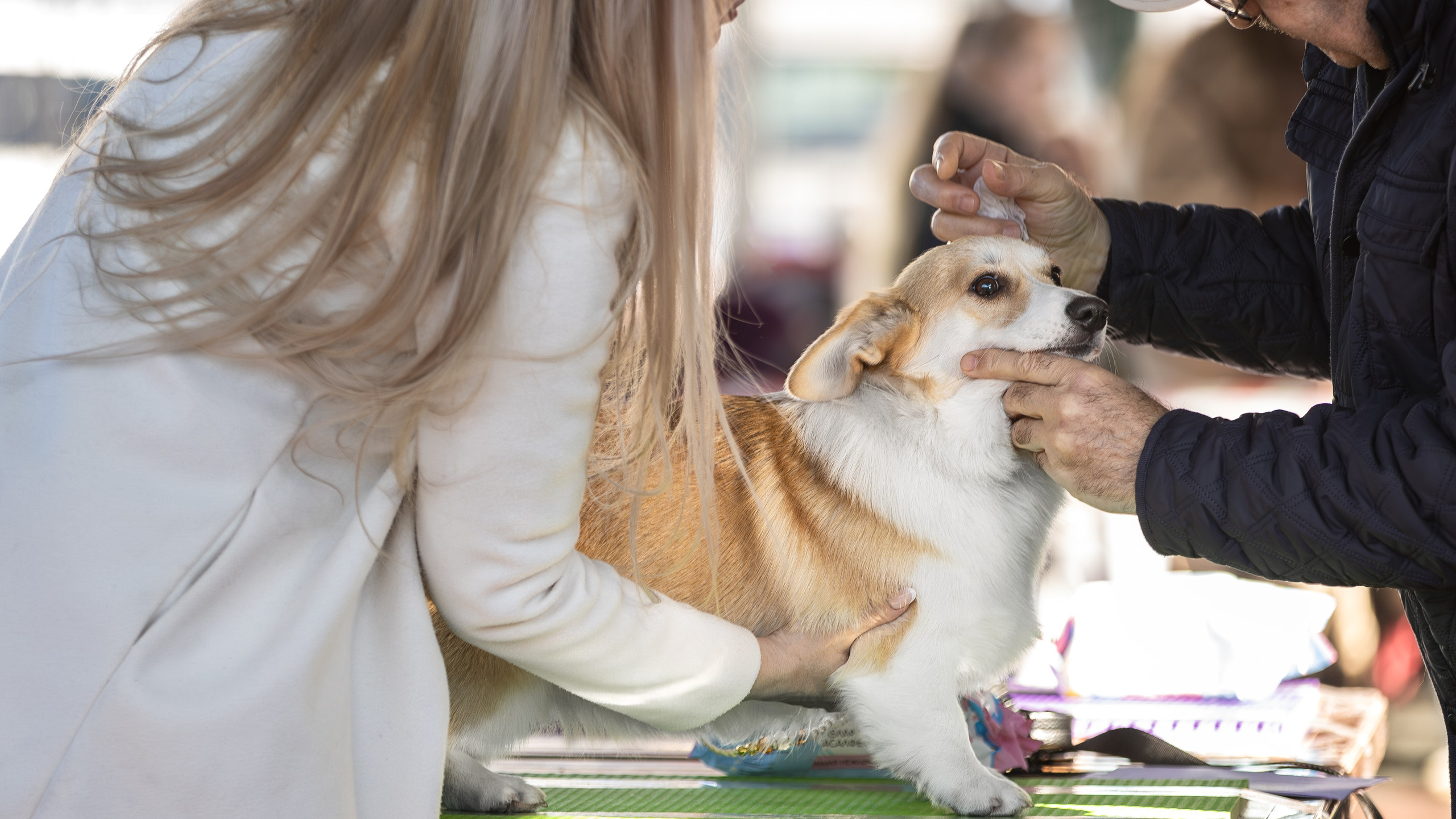 Выставка 25.02.2024