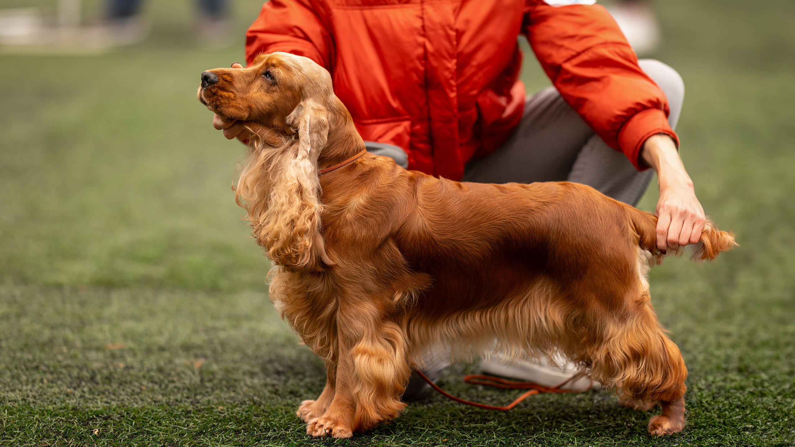 Выставка 17.12.23