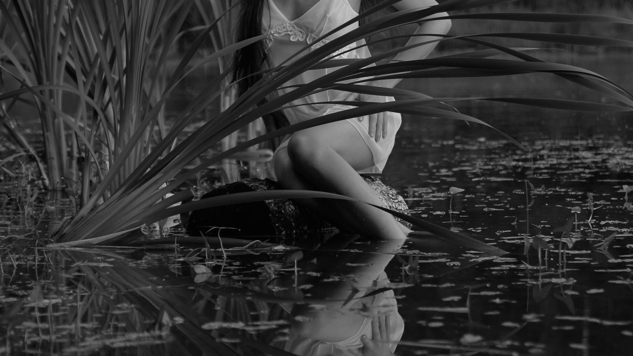 Лесные сказки ЧБ