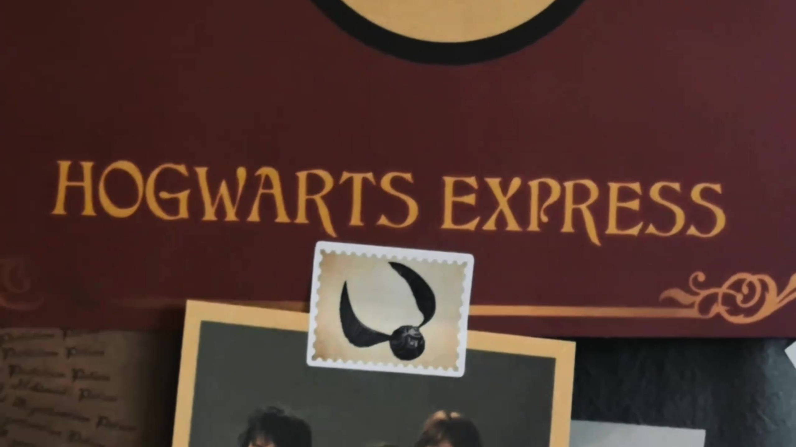 Репортаж мероприятий. Мобильный видеограф Анна Алхимова