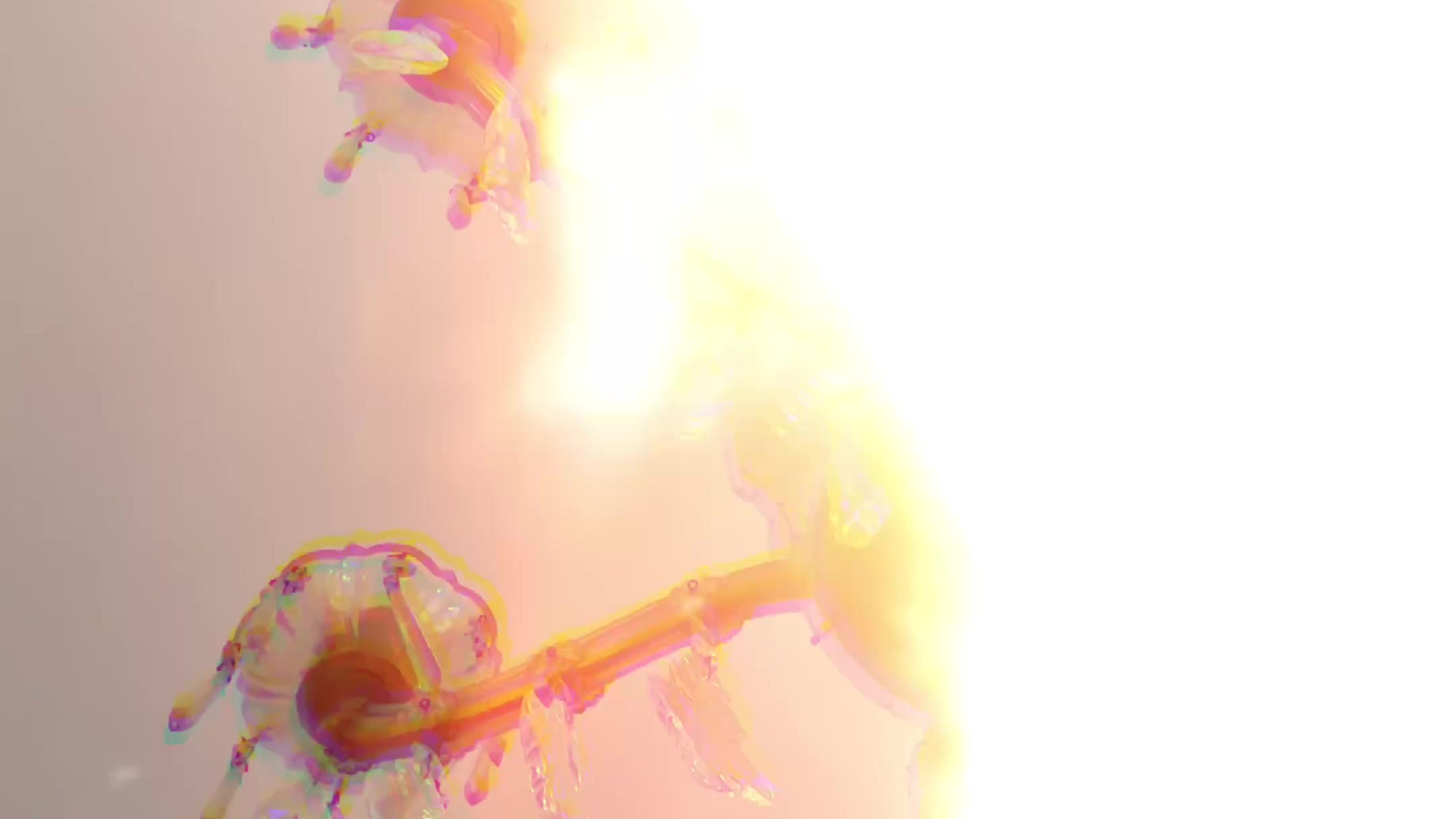 Свадьбы, семейные мероприятия, истории любви. Мобильный видеограф Анна Алхимова