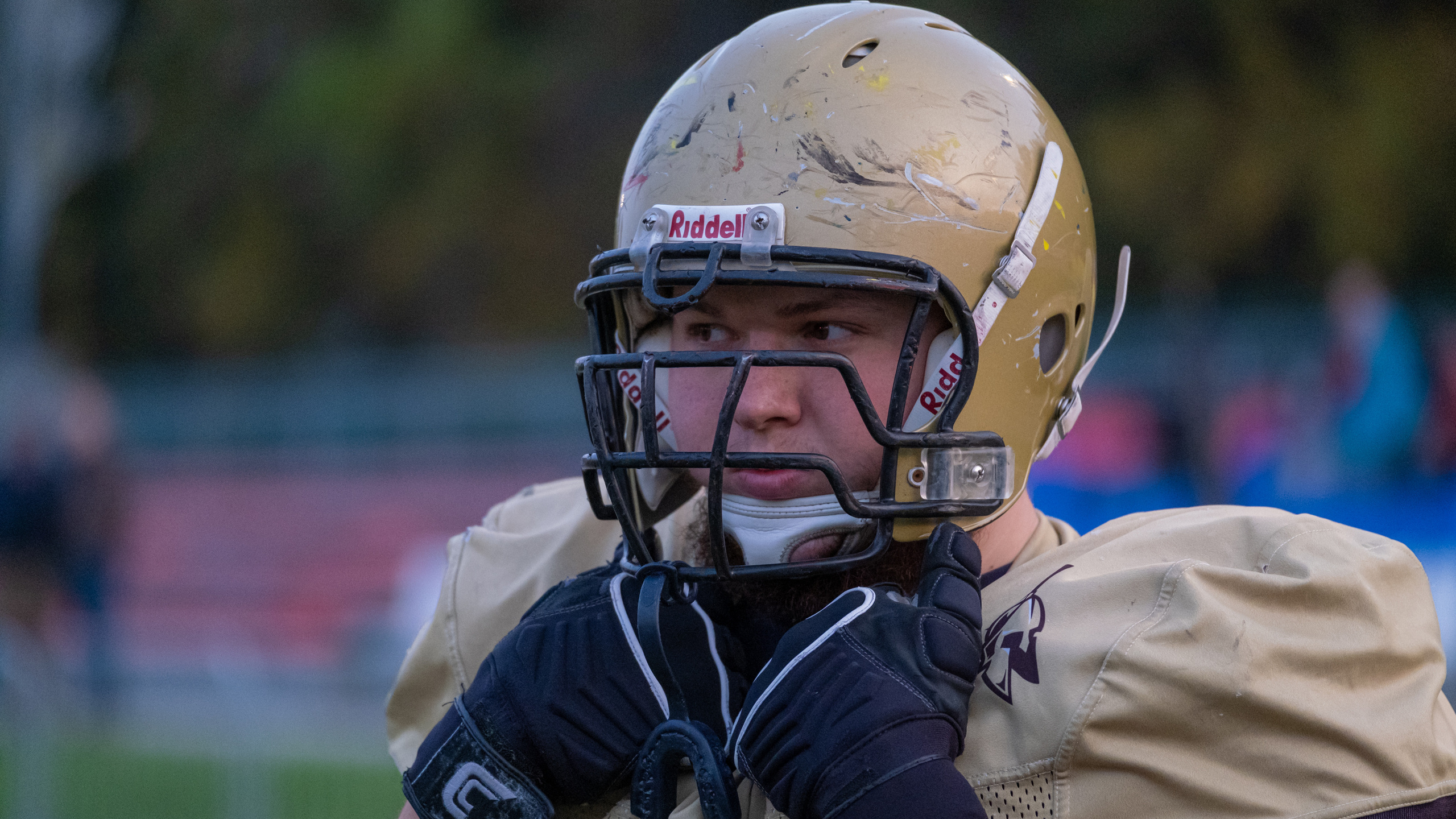 Соревнования. Американский футбол