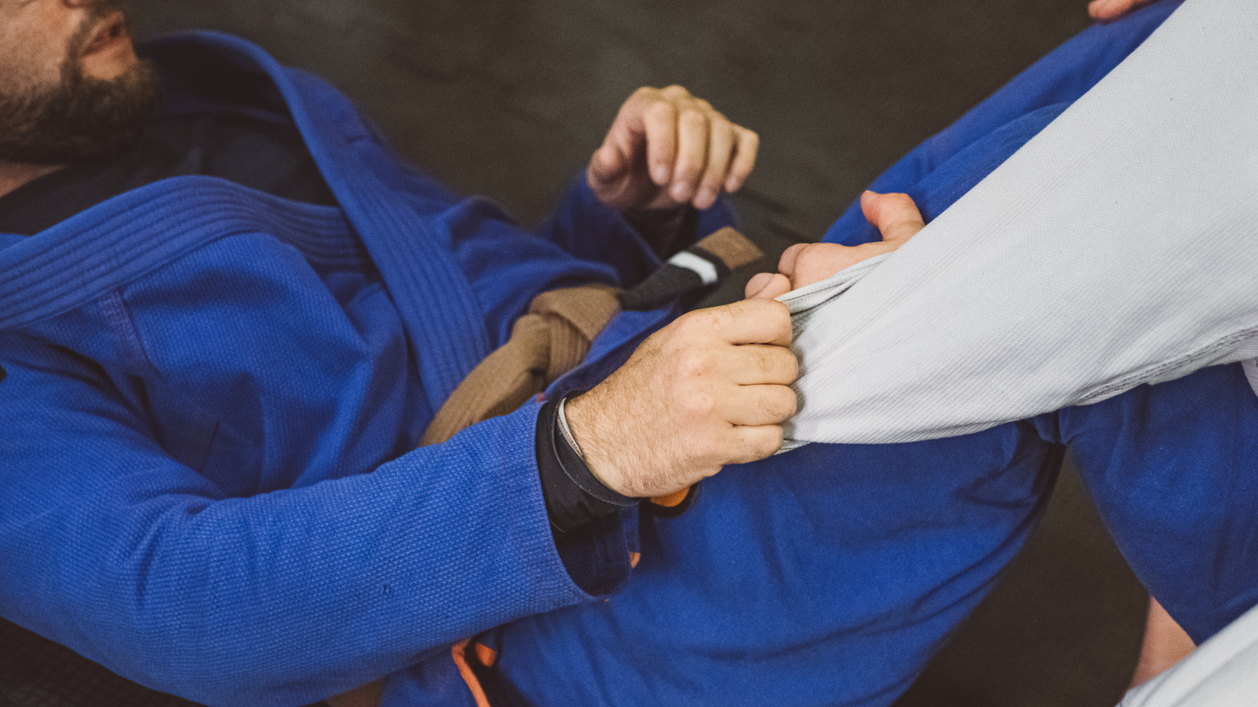 Тренировочный процесс