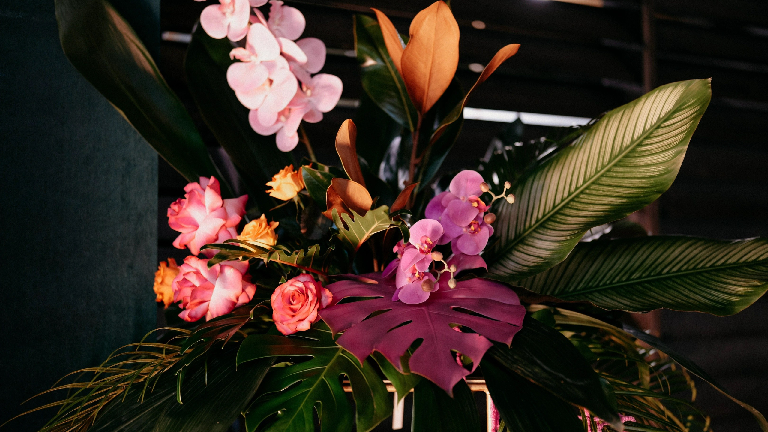 Видео. Фотограф в Москве Дмитрий Рогов