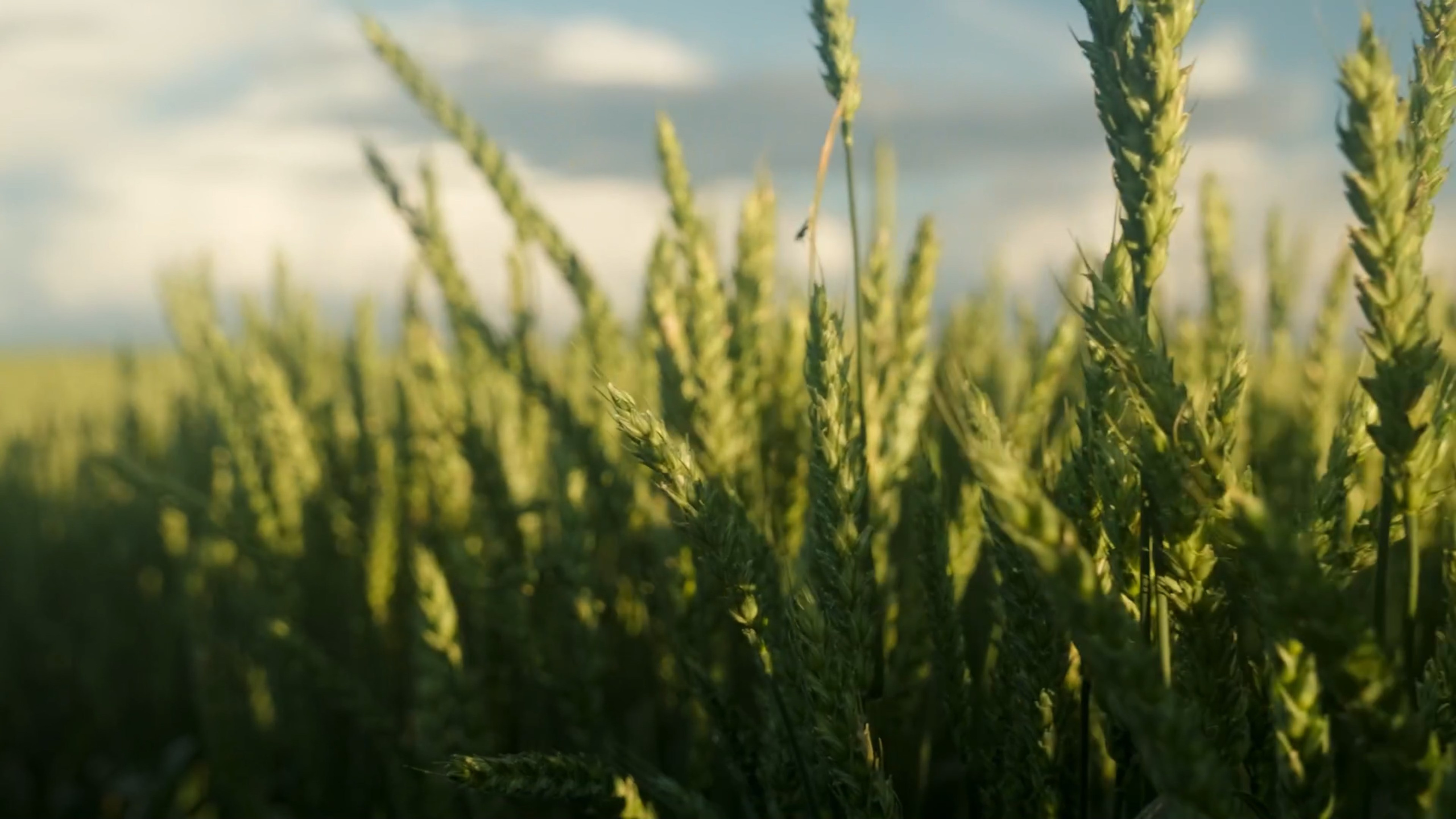 Кирово-Чепецкая Химическая Компания