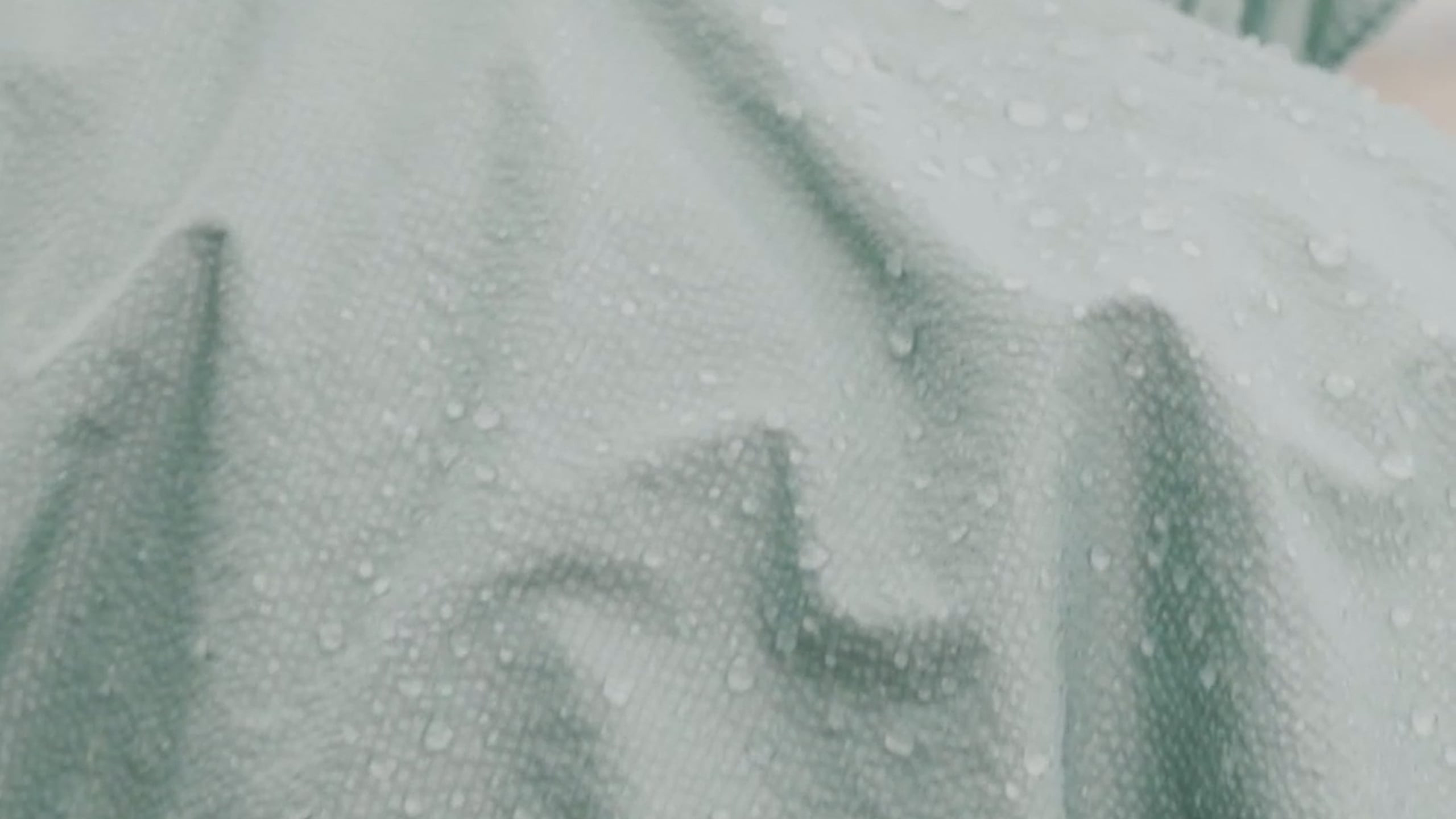 Fashion. Видеограф в Москве Лена Маркова