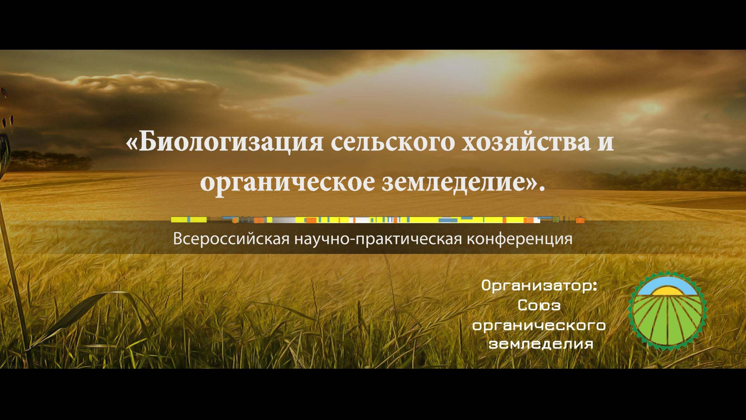 Видеосъемка репортажей с мероприятий. Видеограф Турчин Денис