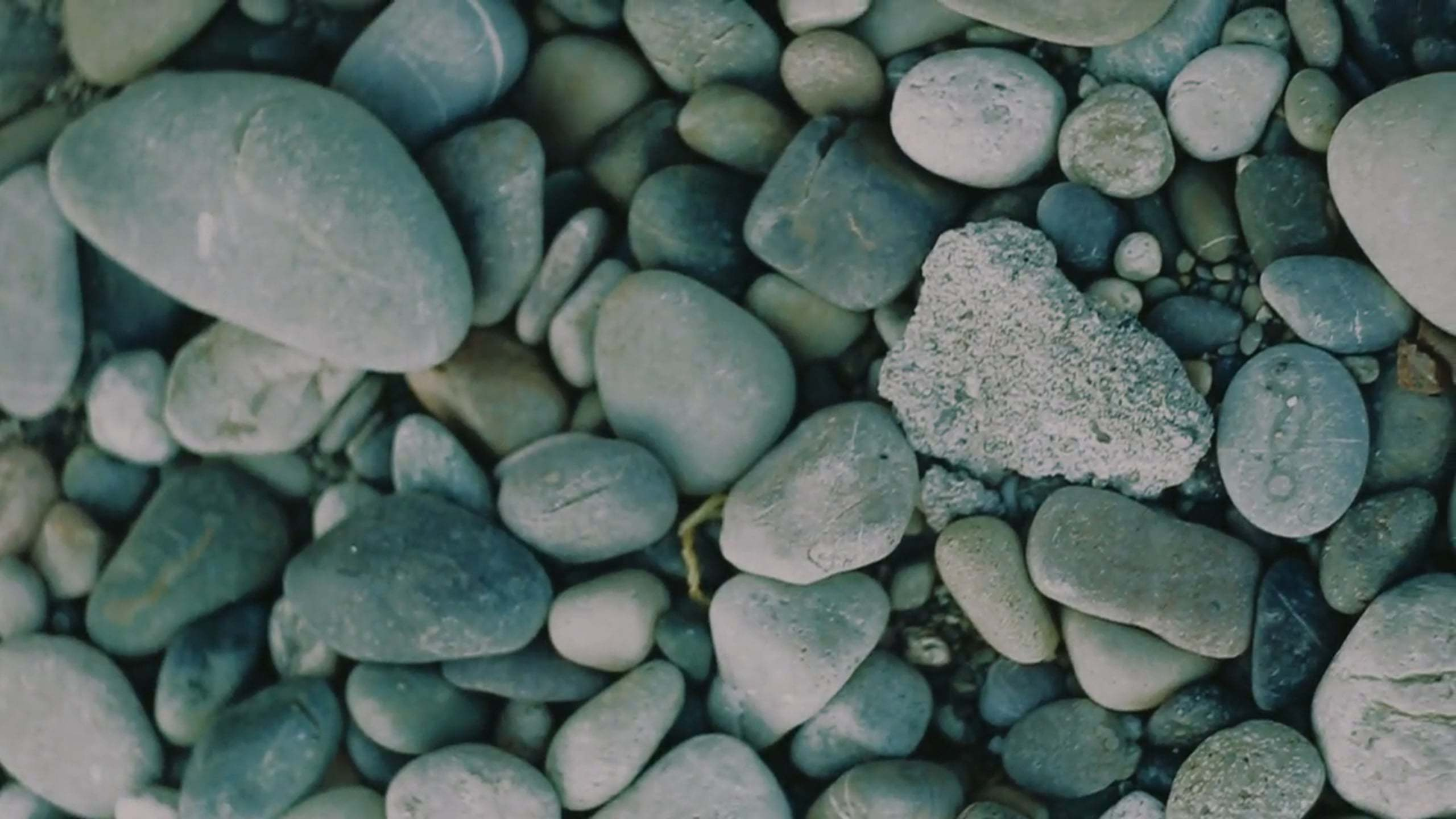 Семейное кино. Семейный видеограф. Свадебный видеограф Сочи. Милана Довгаль - семейный фотограф и видеограф  в Адлере и Сочи