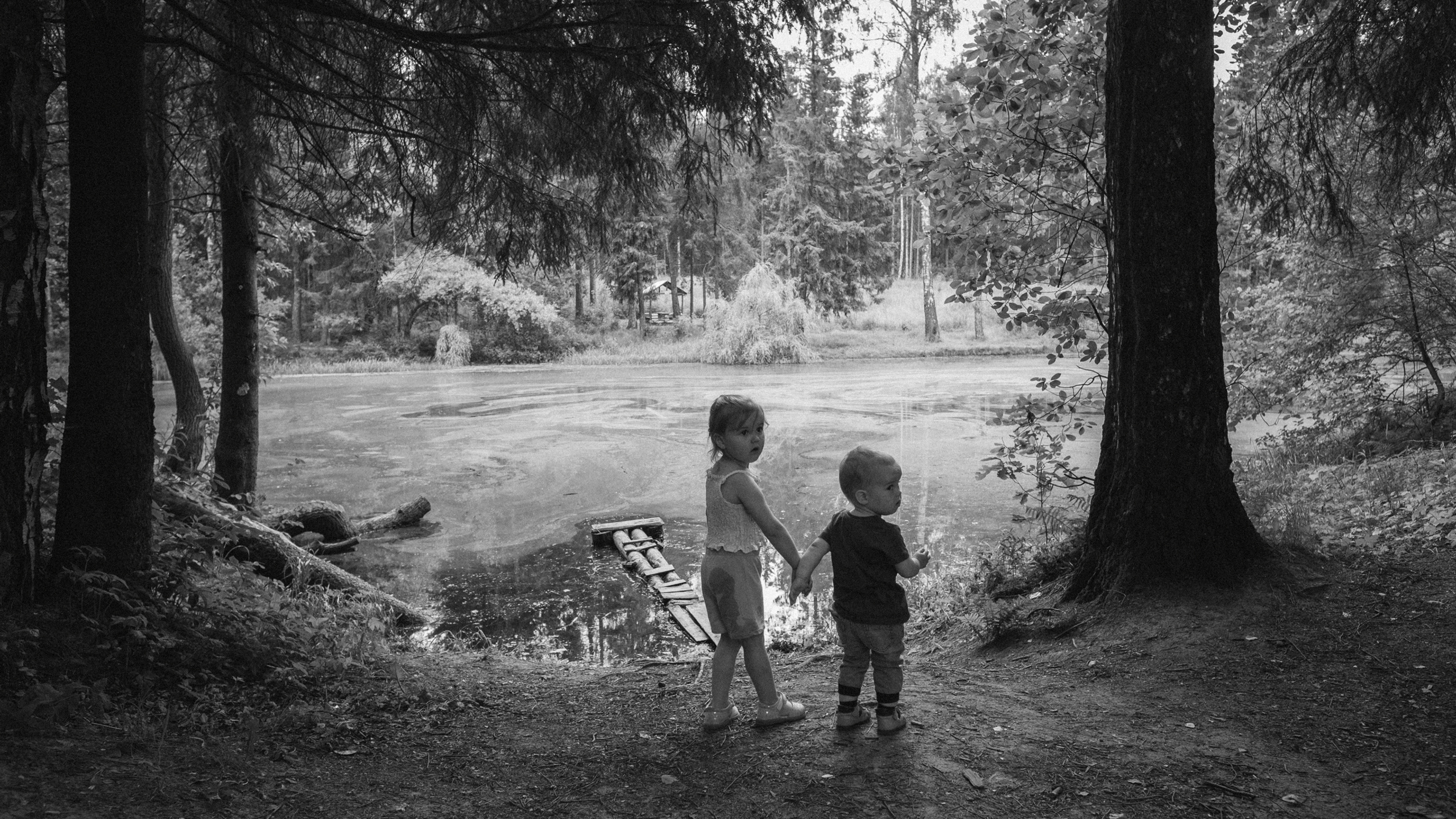 Ни одна лягушка не пострадала)))