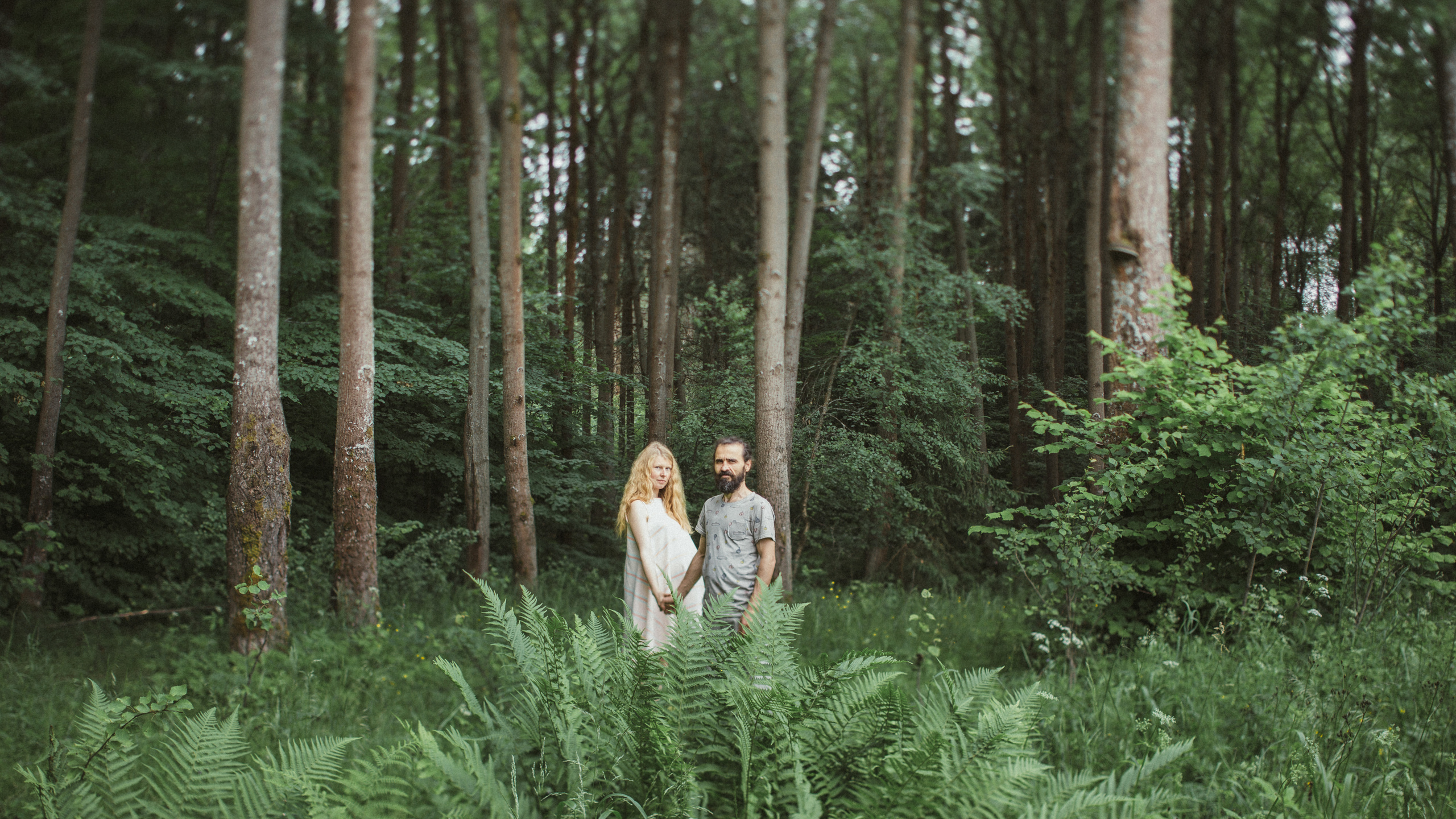 Светлый день, тёплый вечер.