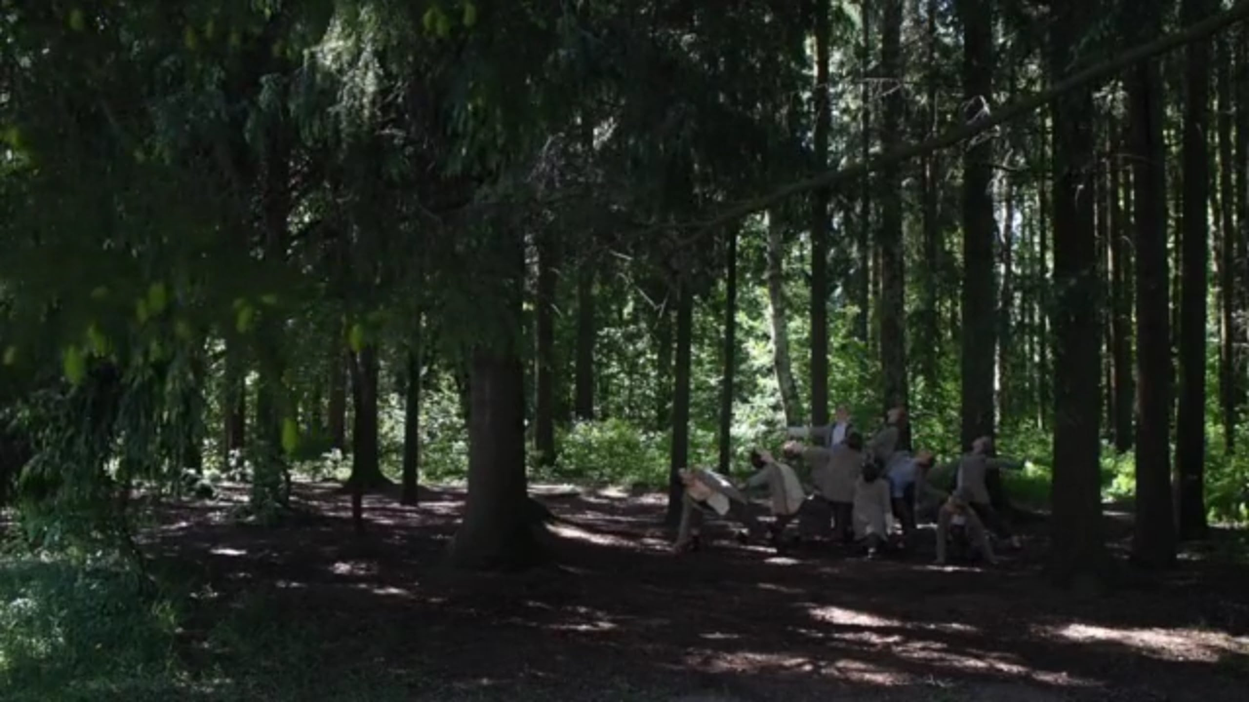 Video. Photographer and videographer Valeria Lisauske