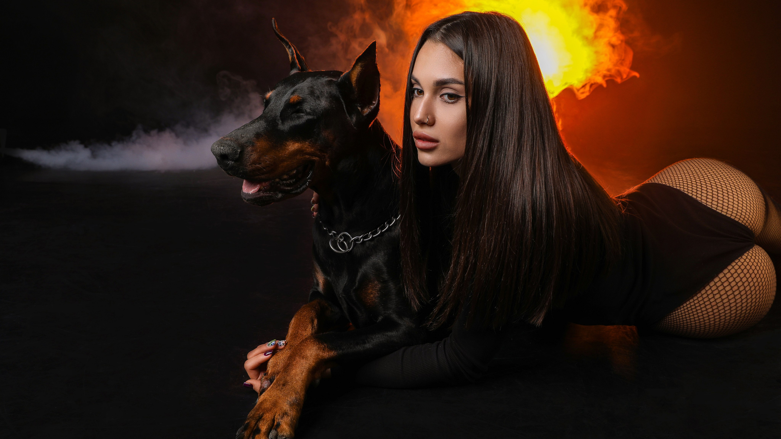 ПРОЕКТ «ДОБЕРМАНЫ»