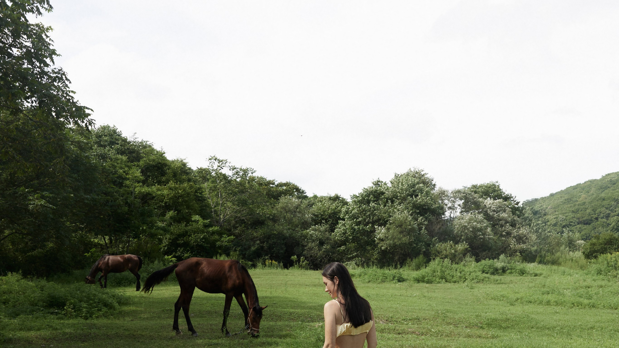 Семейная история с мороженным