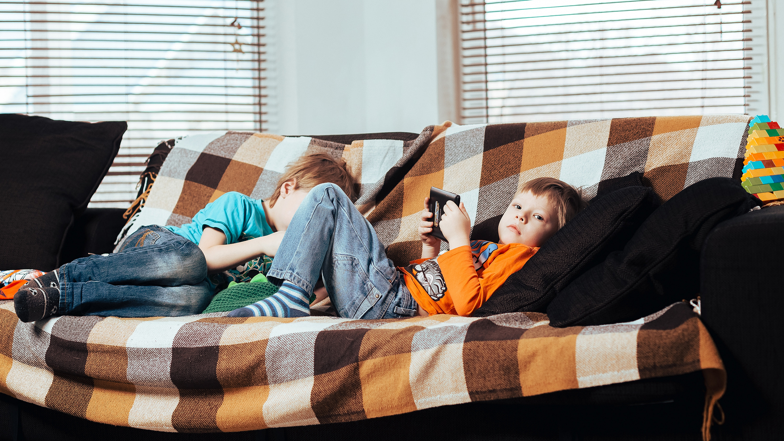 Владимир и&nbsp;сыновья