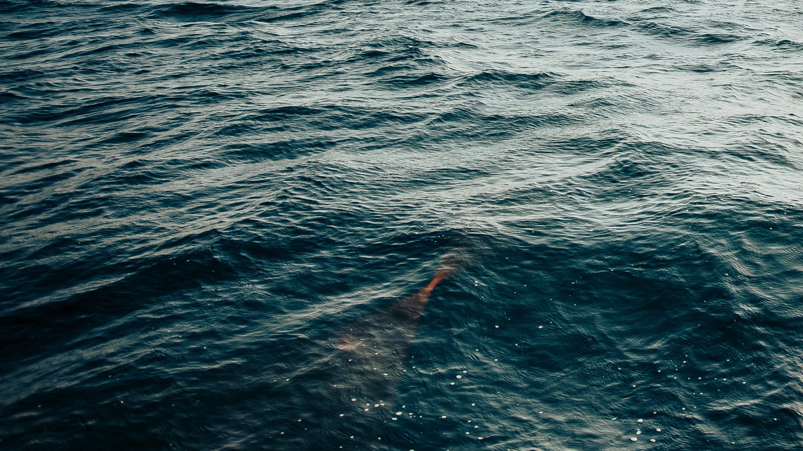 Ваня и&nbsp;Валя