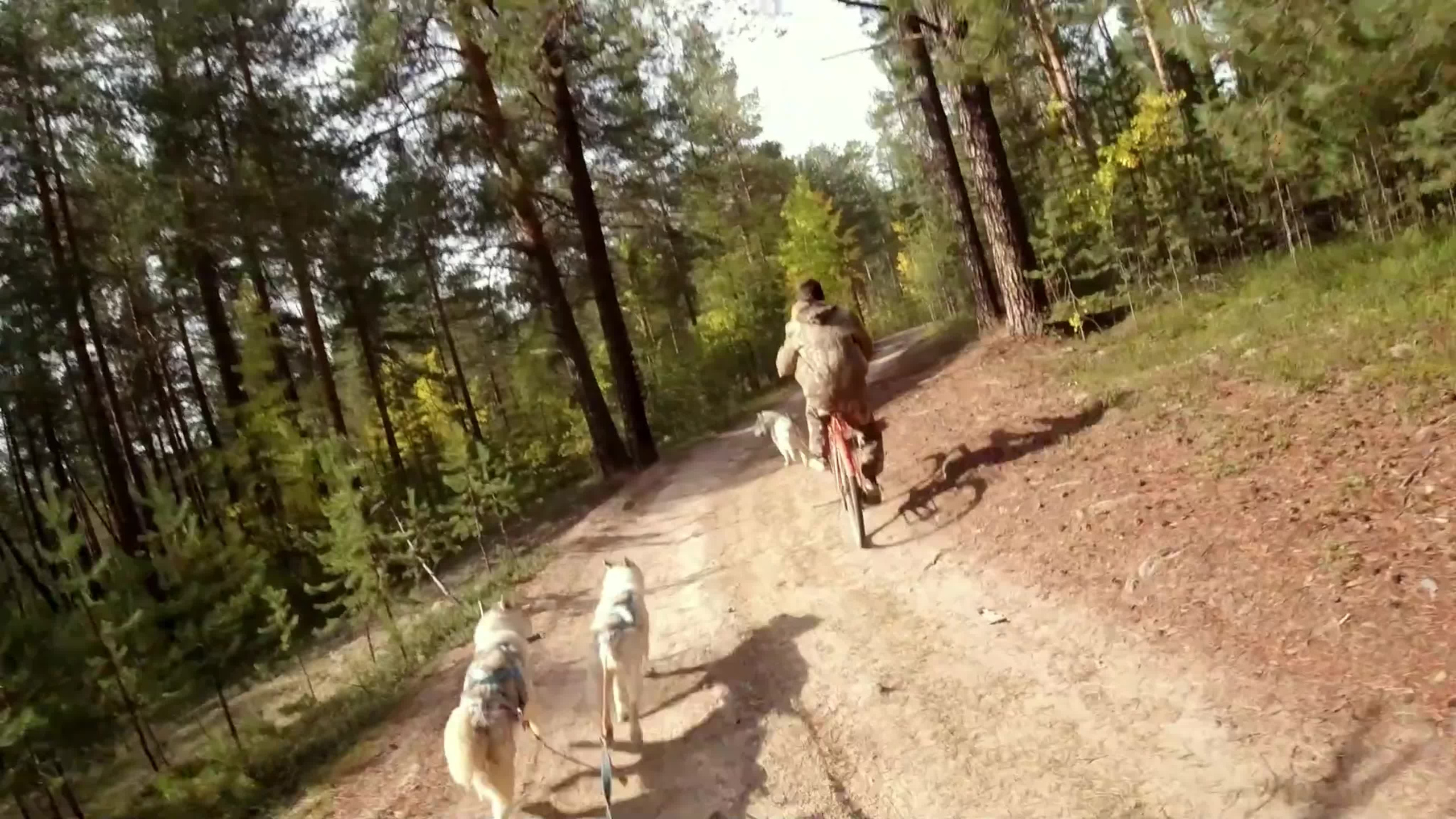 Дмитрий Страхов — видеограф в Сургуте. Дмитрий Страхов фотограф в Сургуте