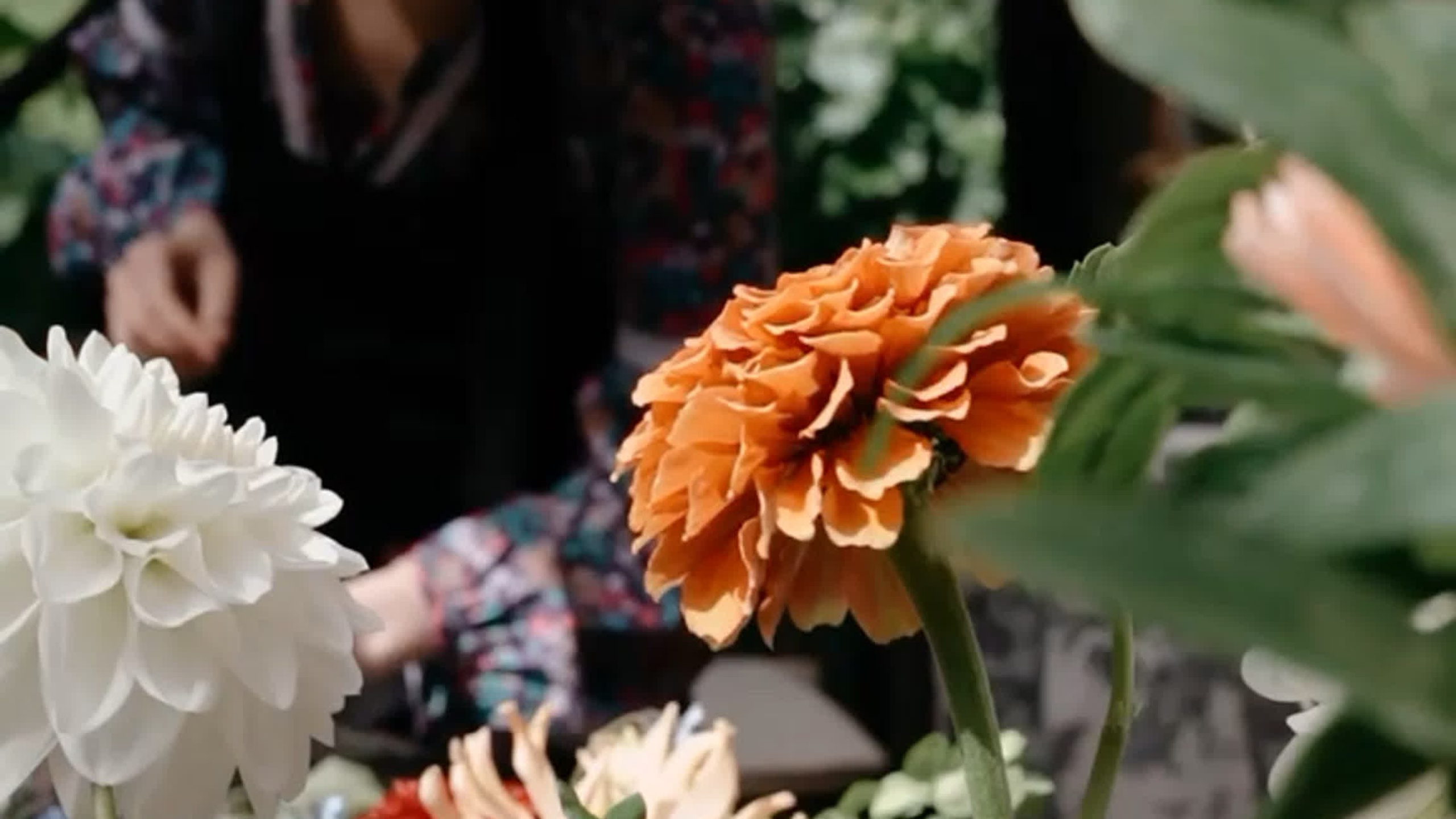 Видеосъемка мероприятия. Фото и видео съемка