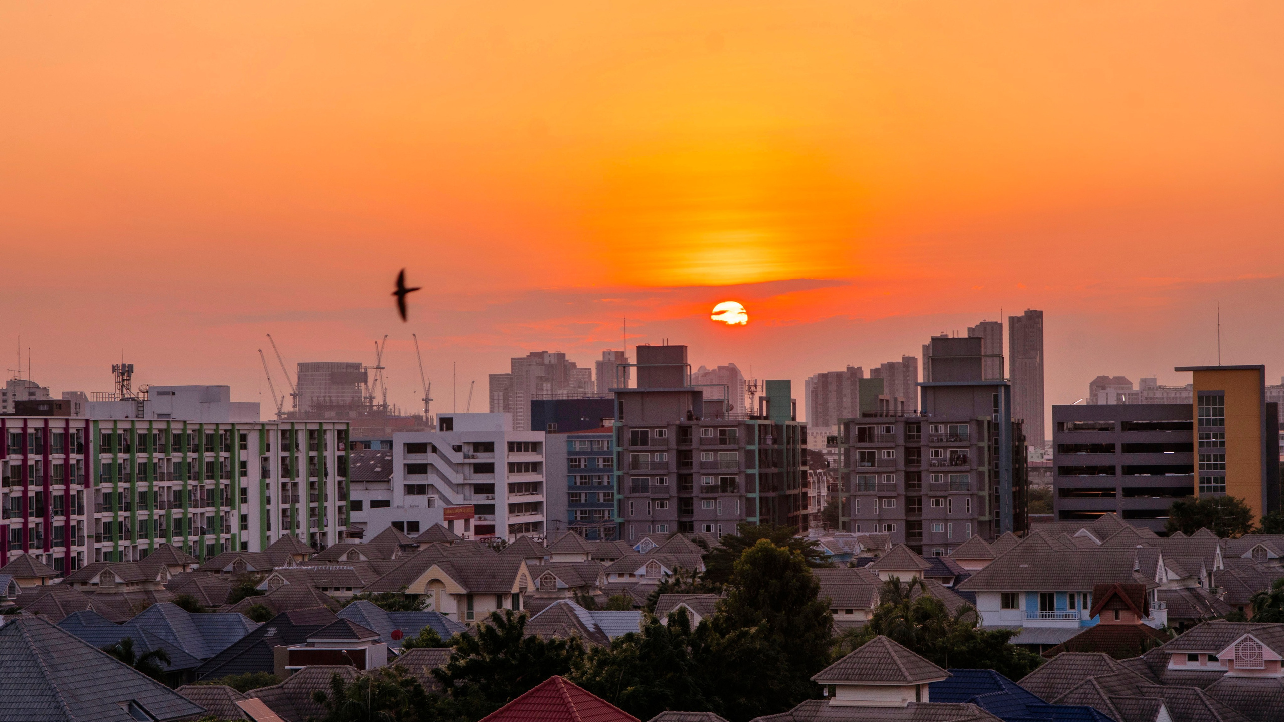 бангкок стрит фото