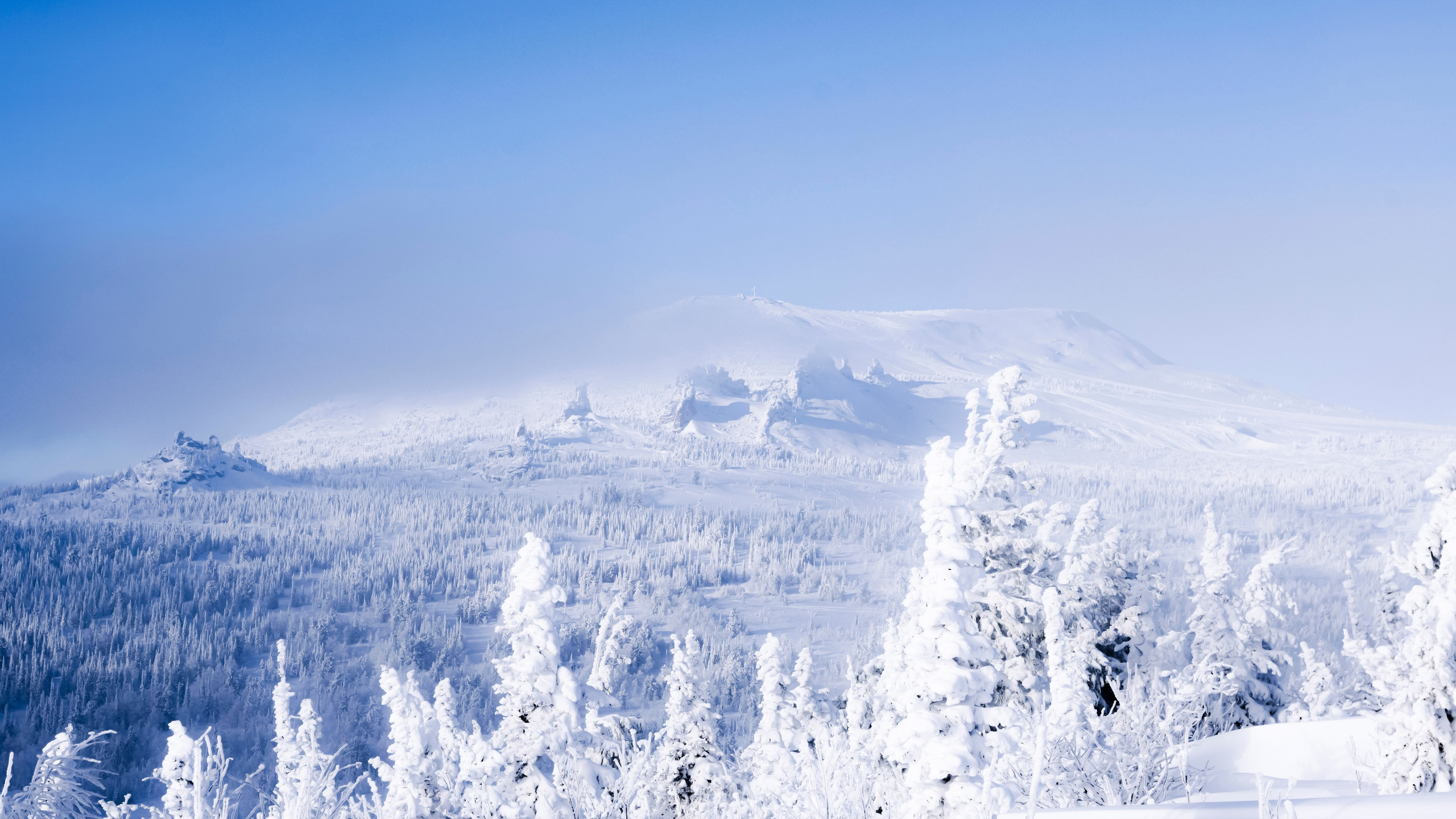 shoria.siberia