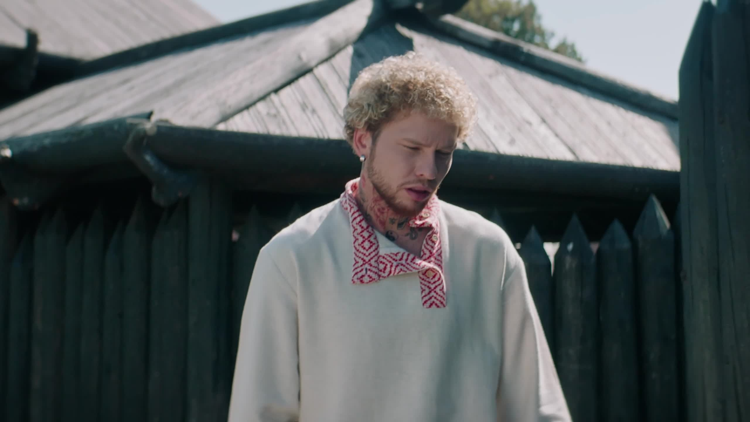 Клипы. Оператор-постановщик, колорист в Москве Абабий Михай