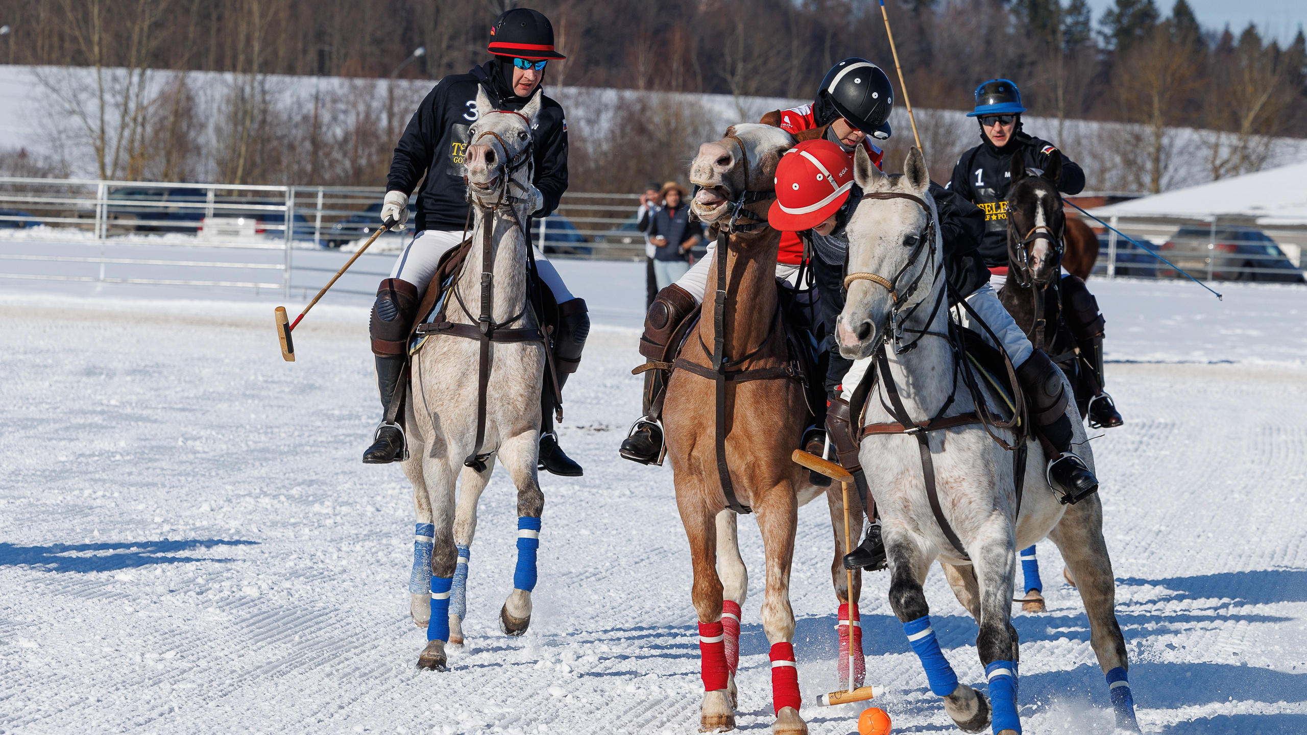Поло 2024. Фотограф Таня Ремизова