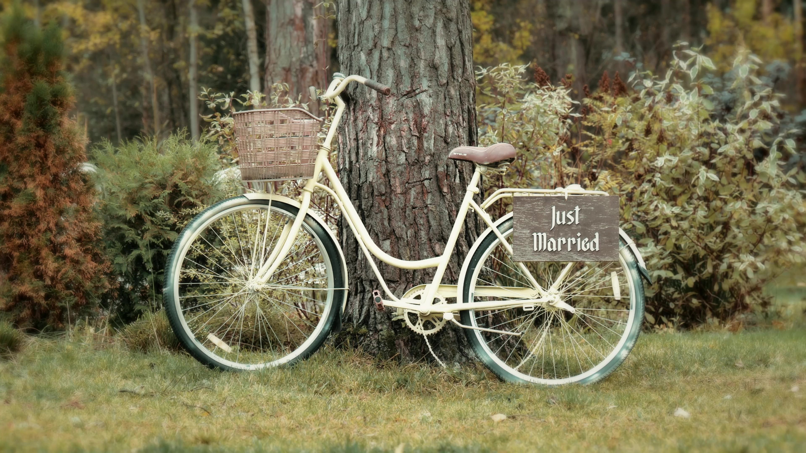 Саша и Настя. Свадебный видеограф Слава Станиславский