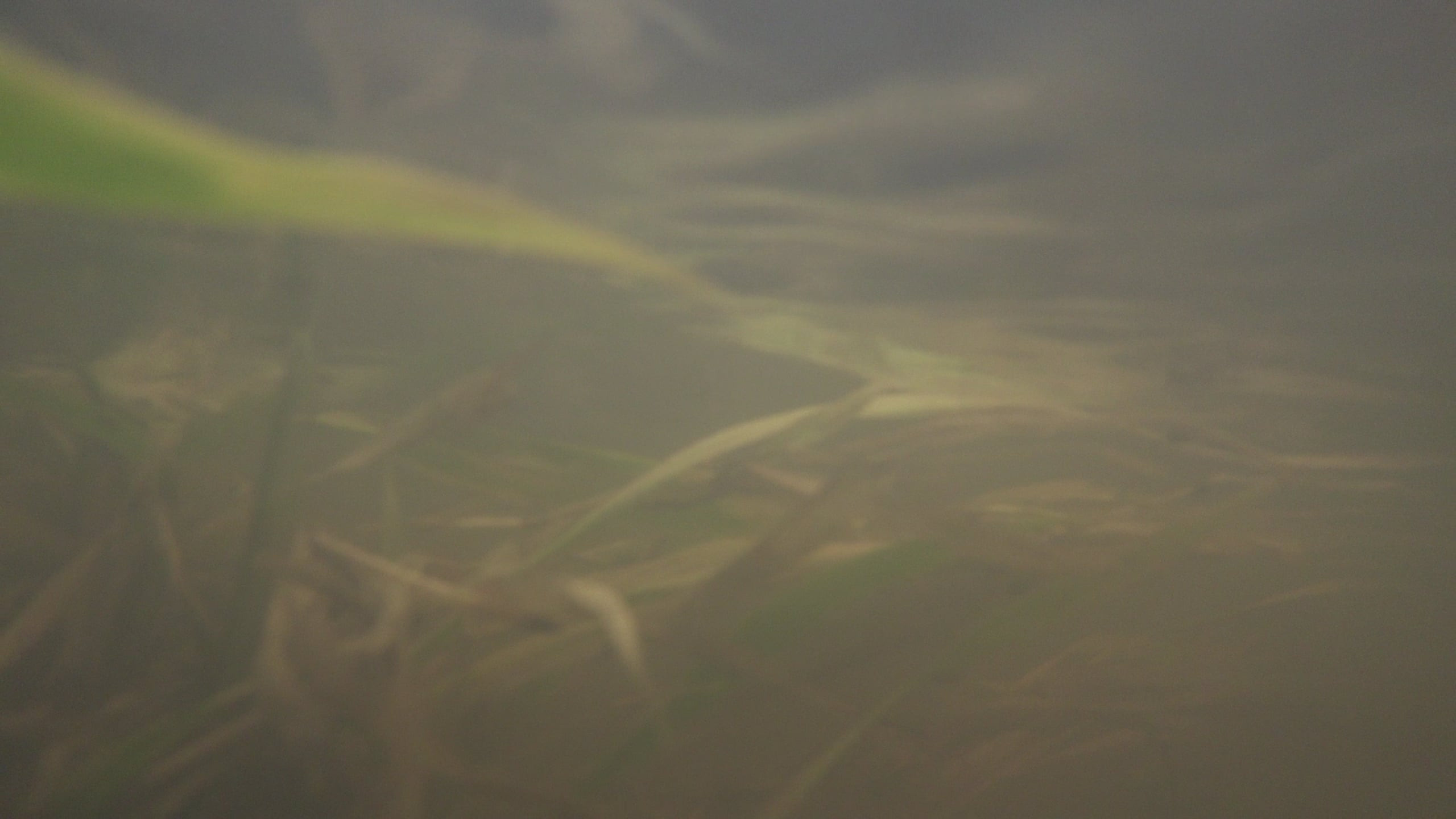 The pocket river. Photographer Anna Nazarova