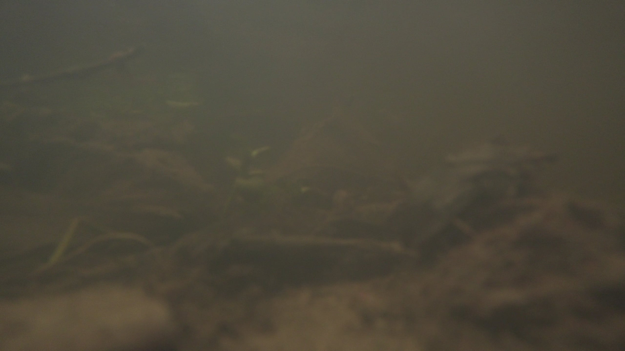 The pocket river. Photographer Anna Nazarova