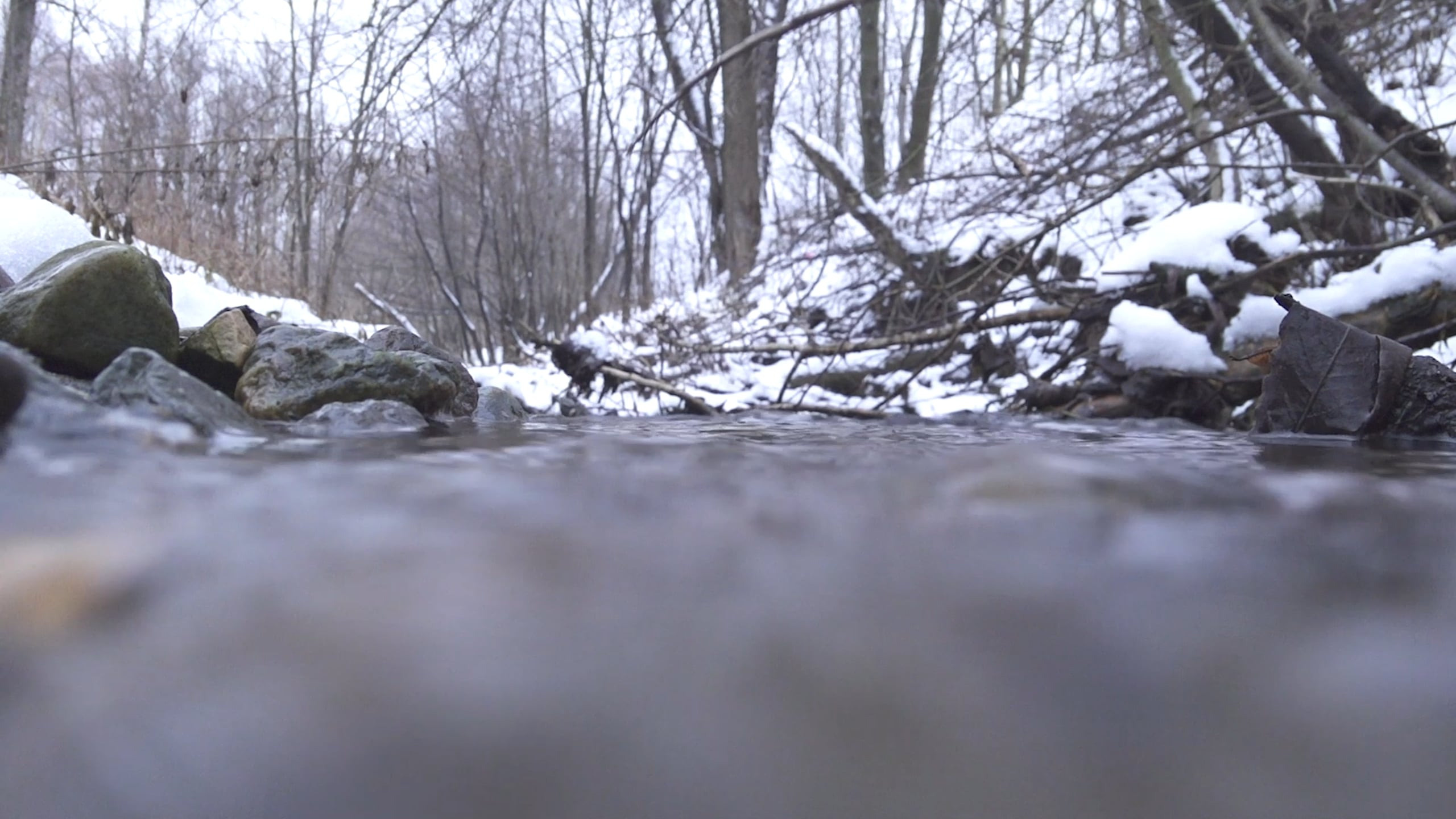 The pocket river. Photographer Anna Nazarova