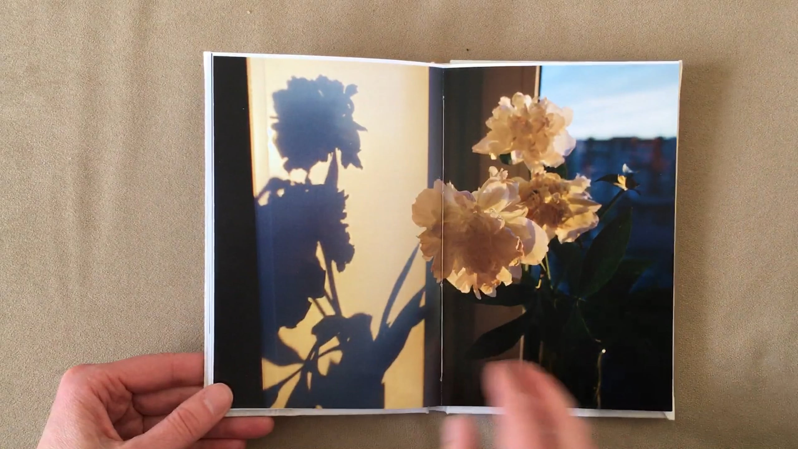 730 days. 46 m². Photographer Anna Nazarova