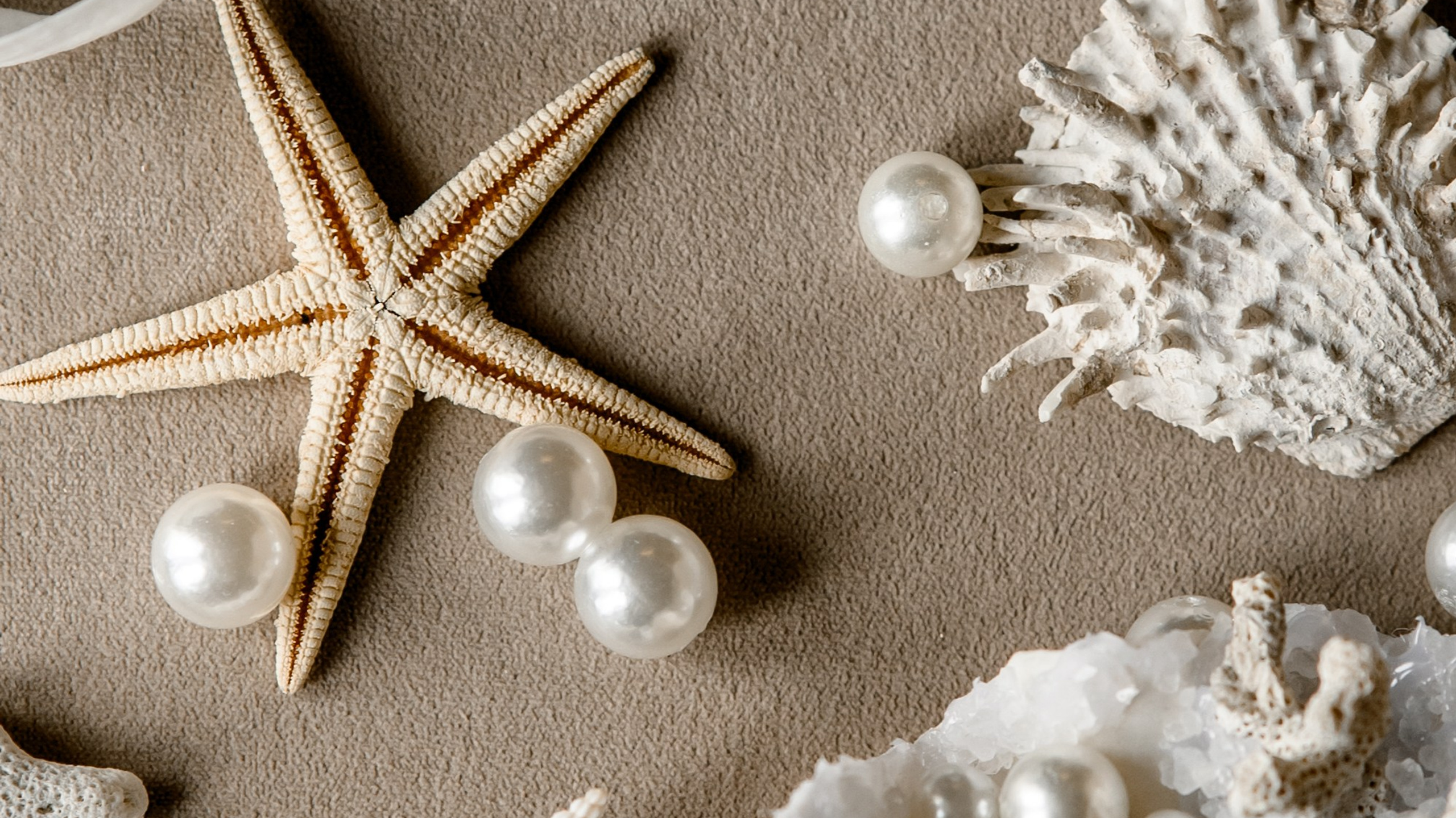 ХВОЯ МОРСКАЯ