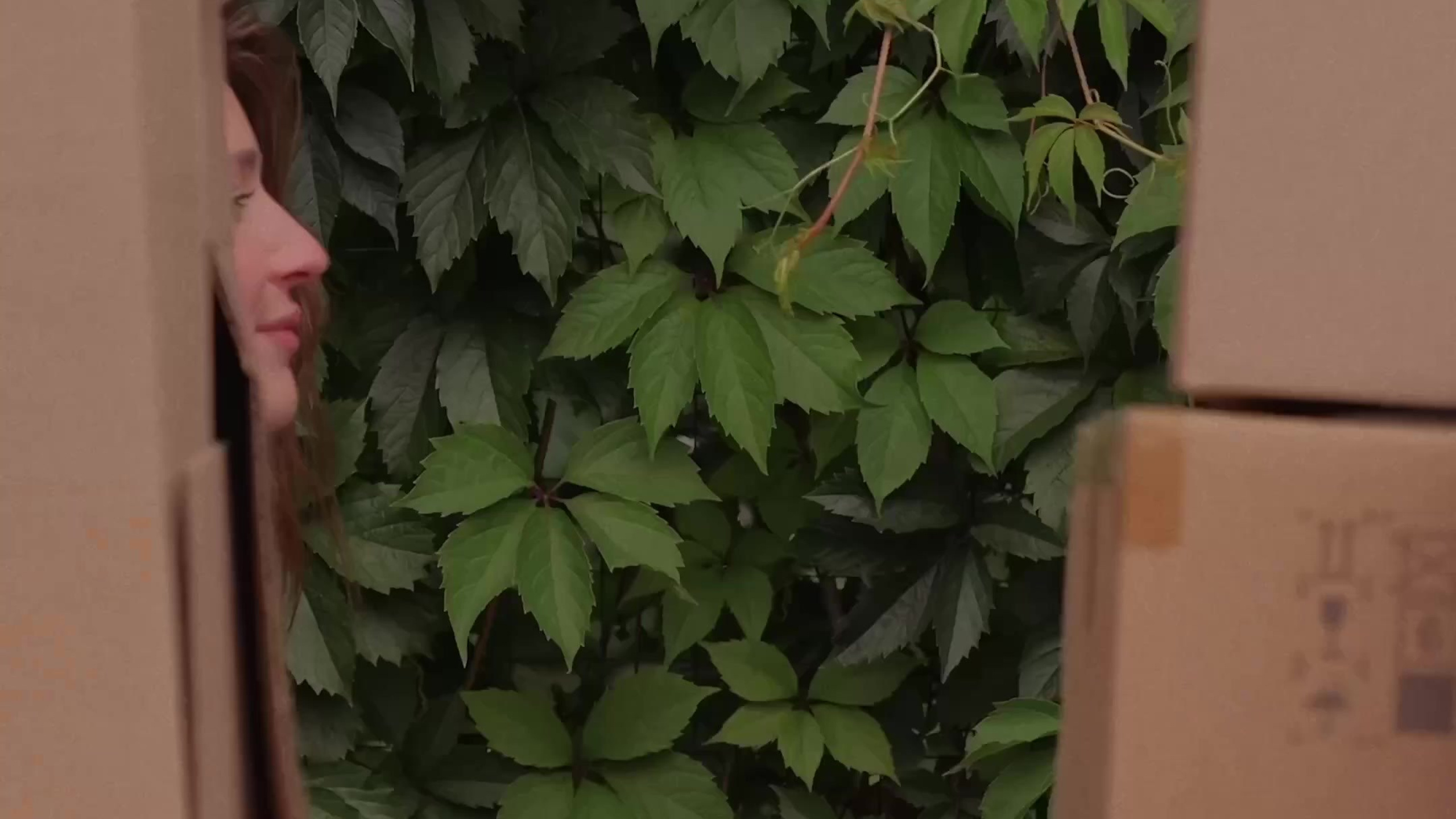 Свадьбы. Свадебный рилсмейкер видеограф Надежда Довгань