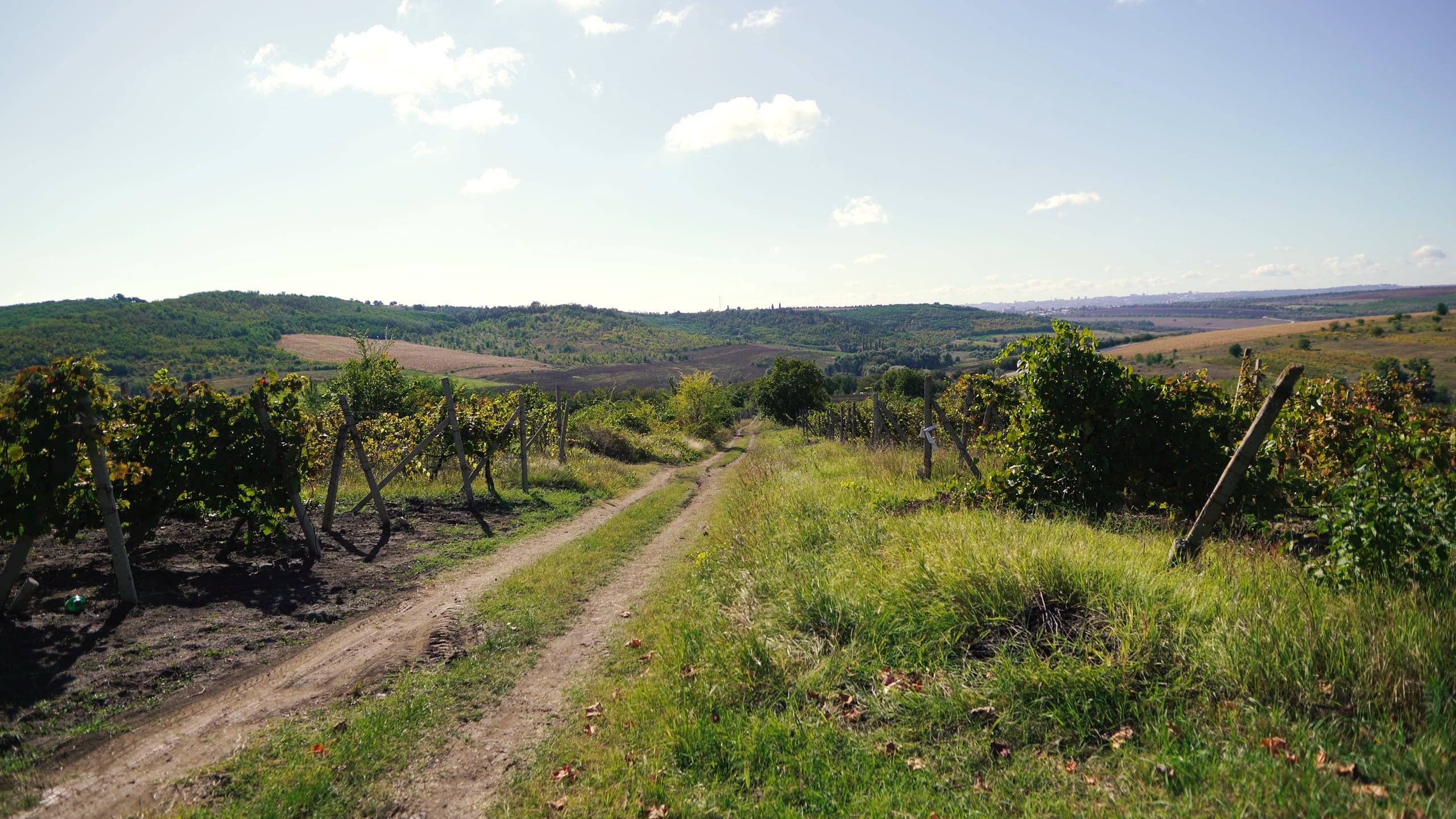 Документальные. Имиджевые и рекламные видео для культурых проектов, Санкт-Петербург