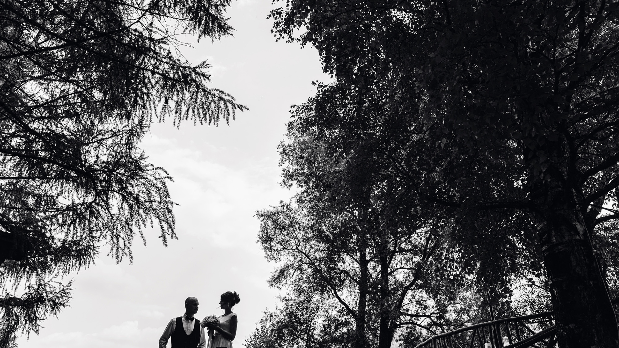 2020.07.17 Дима и Алена. Свадебные фотографы Nekipelov_photo